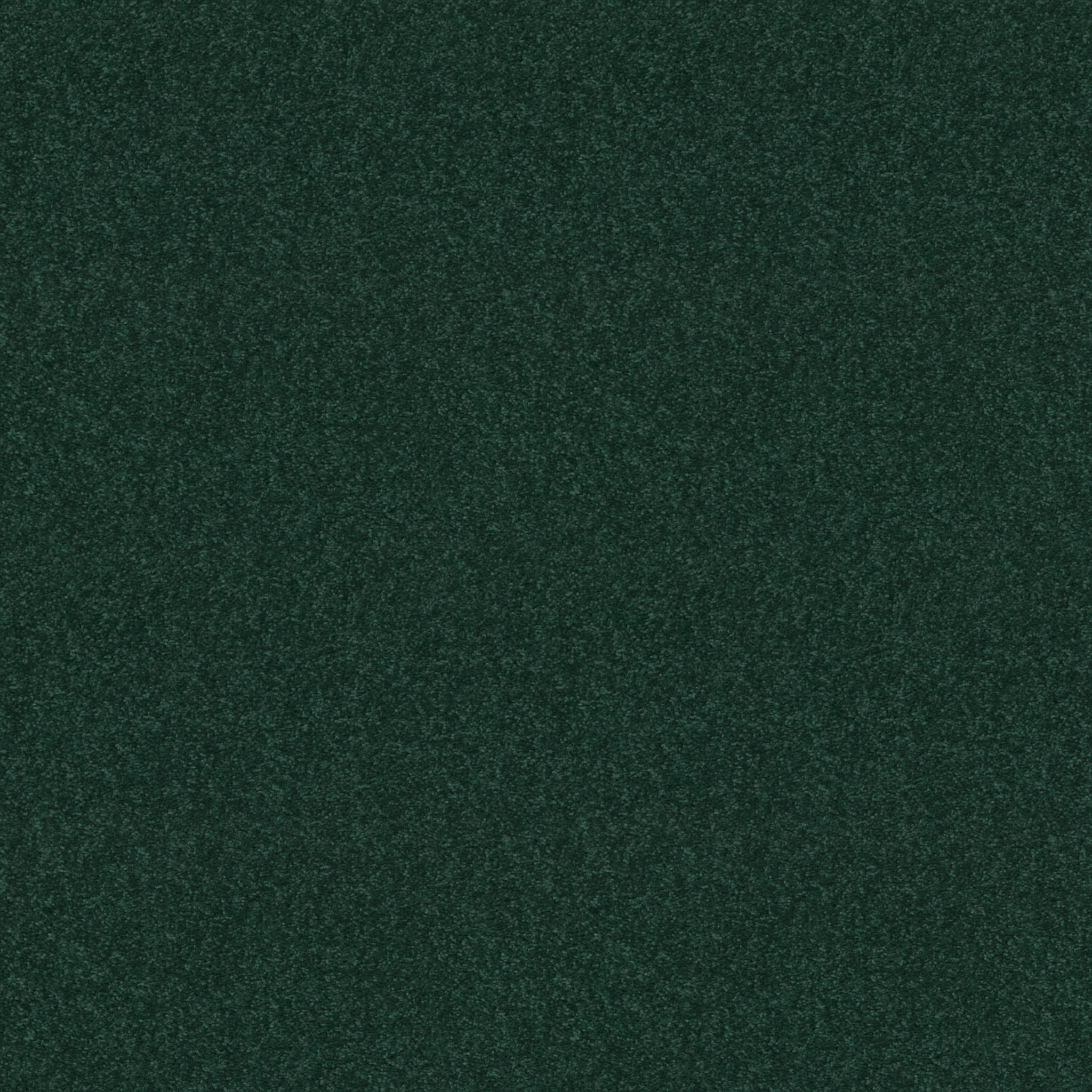 DYERSBURG II 12' POLO MAIN