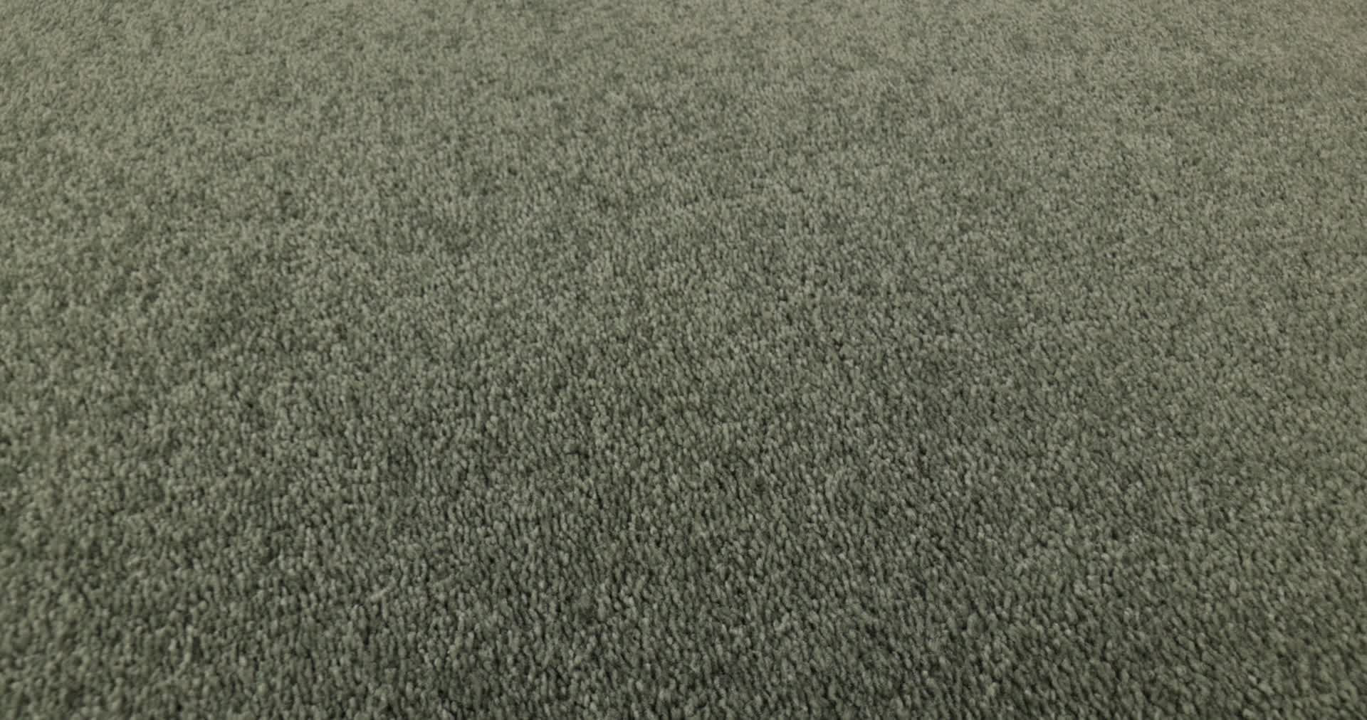 STEP RIGHT UP I 12' SPRING LEAF 360PROD