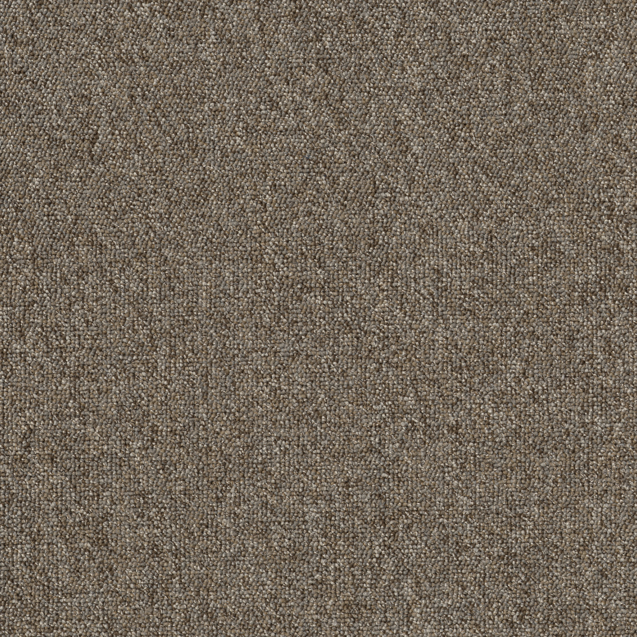 AVENUE-54989-GARFIELD-00706-main-image