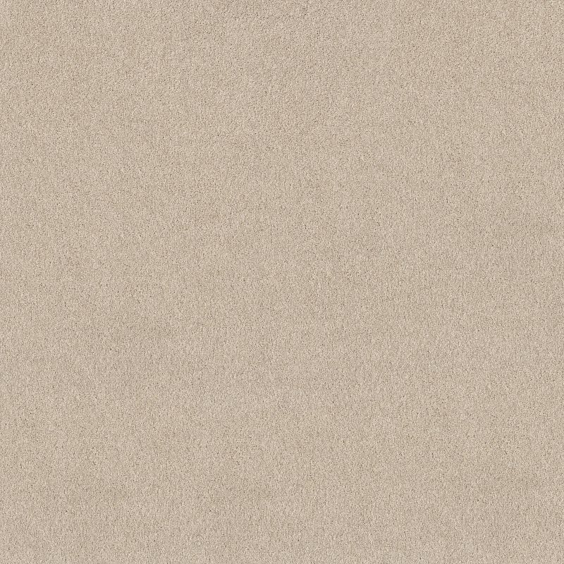 Pure Affection T 5E892 Broadloom Carpet in Shadows color, made from 100% PET Polyester, 12ft wide, 125ft roll length.