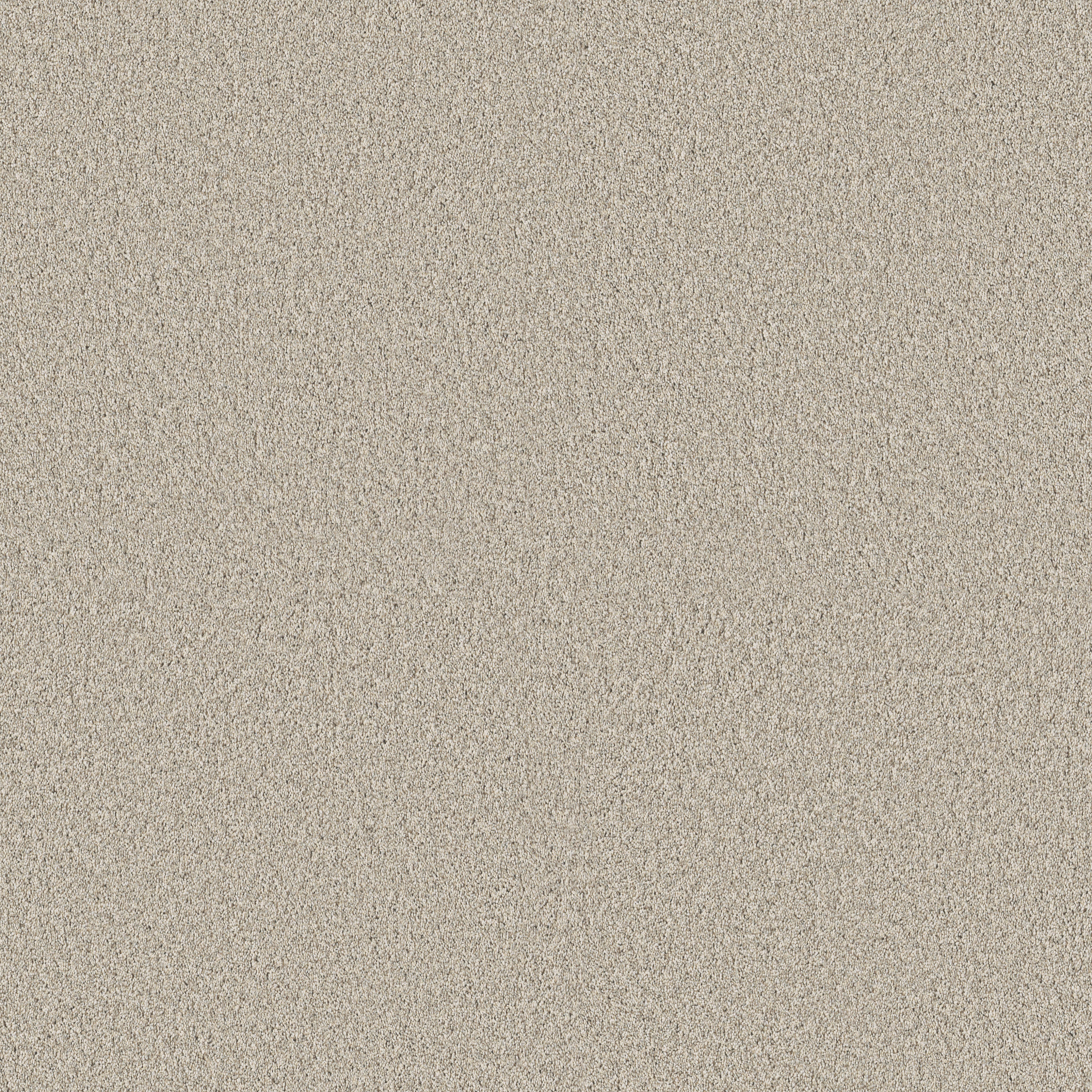 TIMELESS TONE BLUE BAJA MAIN