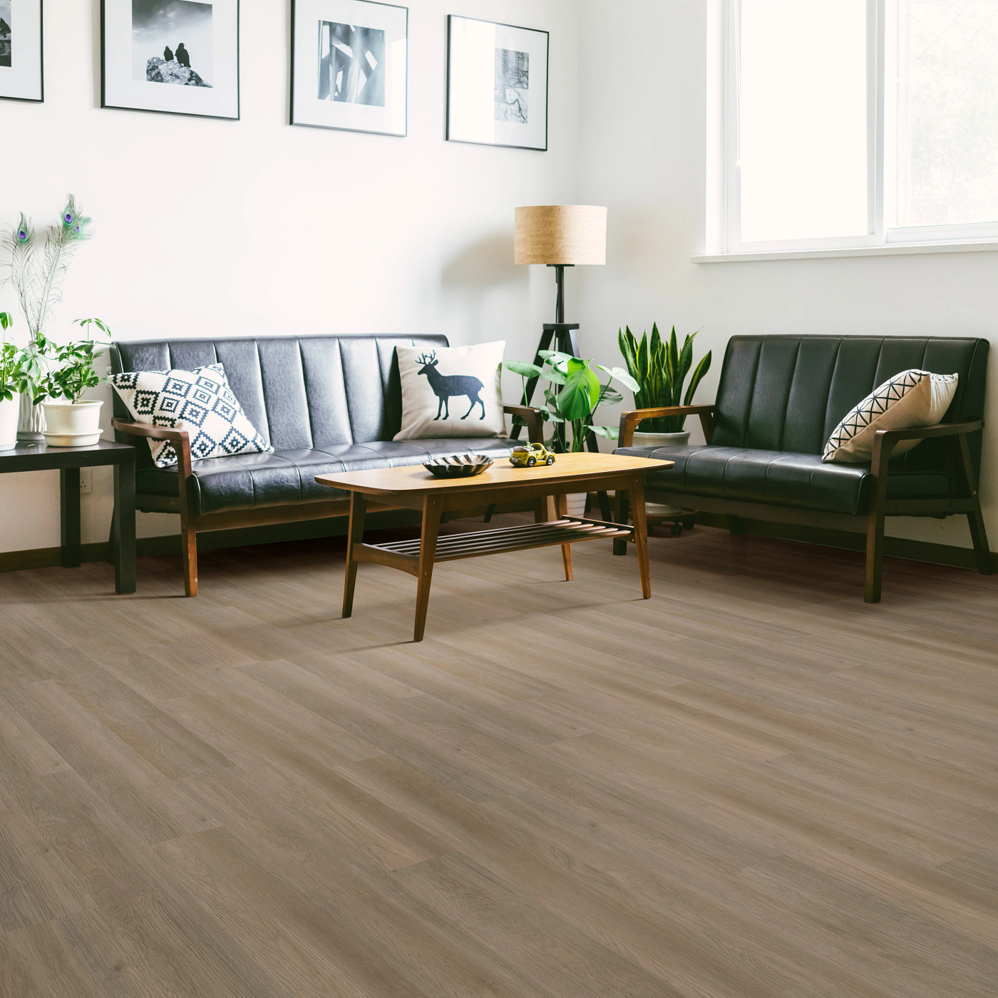 Raconteur flooring, shown in a room