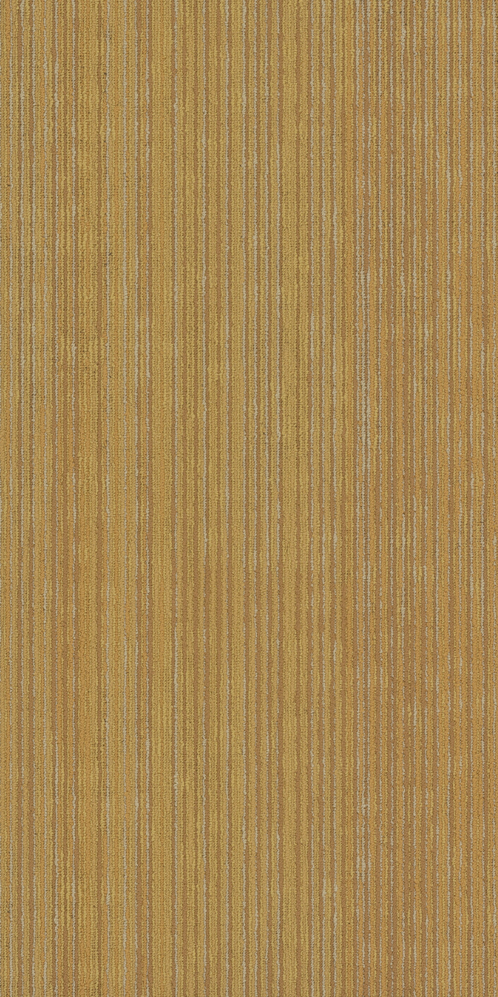 CIPHER-54925-VECTOR-00200-main-image