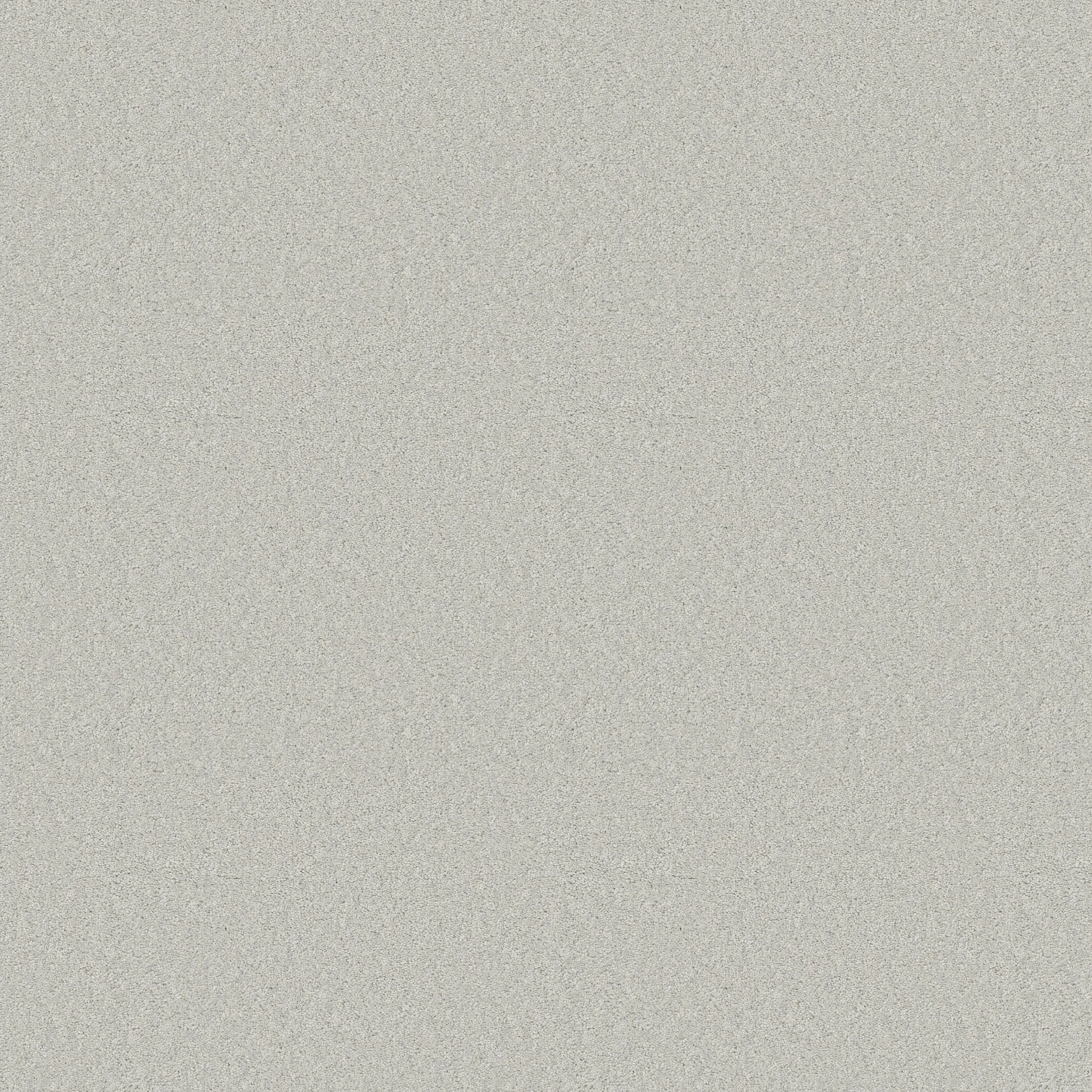 ELEGANT BEAUTY ICY MORN MAIN