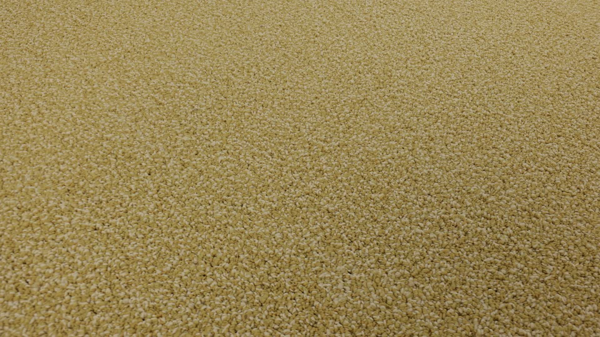 Gradient Blissful Yellow Rotation360