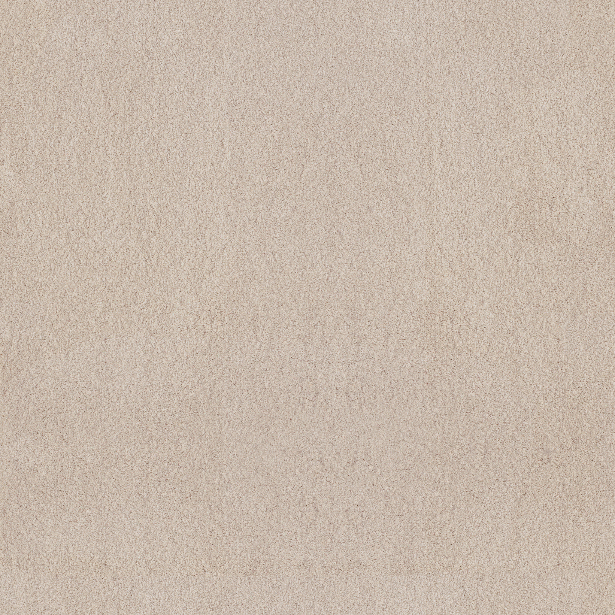 LUXE FEEL II NEUTRAL GROUND MAIN