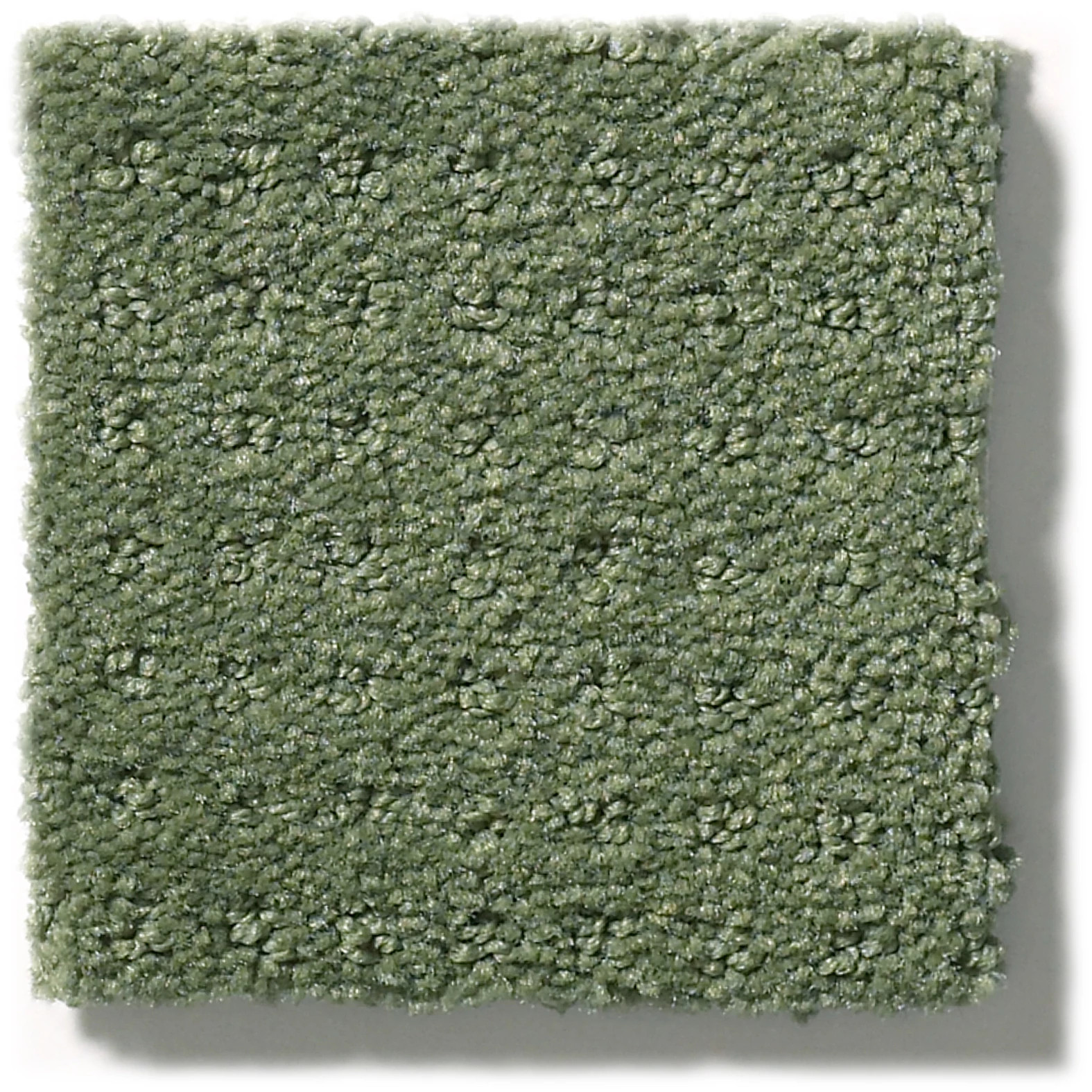 ALLURING DISPOSITION LUSH GARDEN SWATCH
