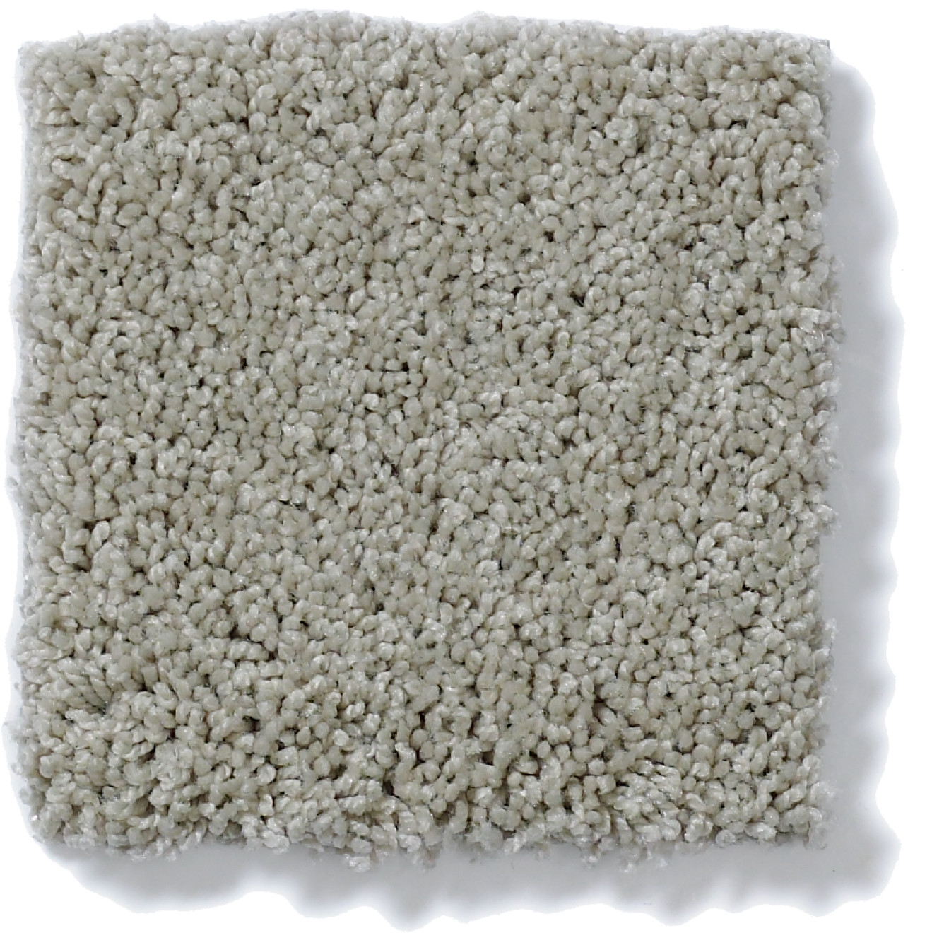 AG TIMELESS SIDEWALK SWATCH