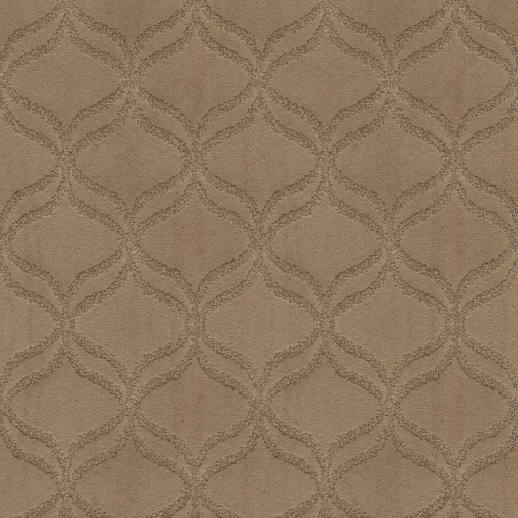 APPRECIATION CARNOUSTIE MAIN