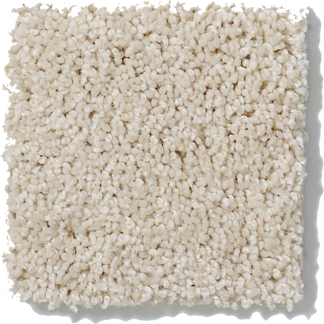 TIP OF THE HAT CANVAS SWATCH