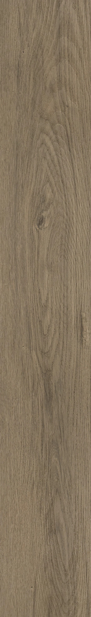 BAKERSFIELD OAK 1TO1