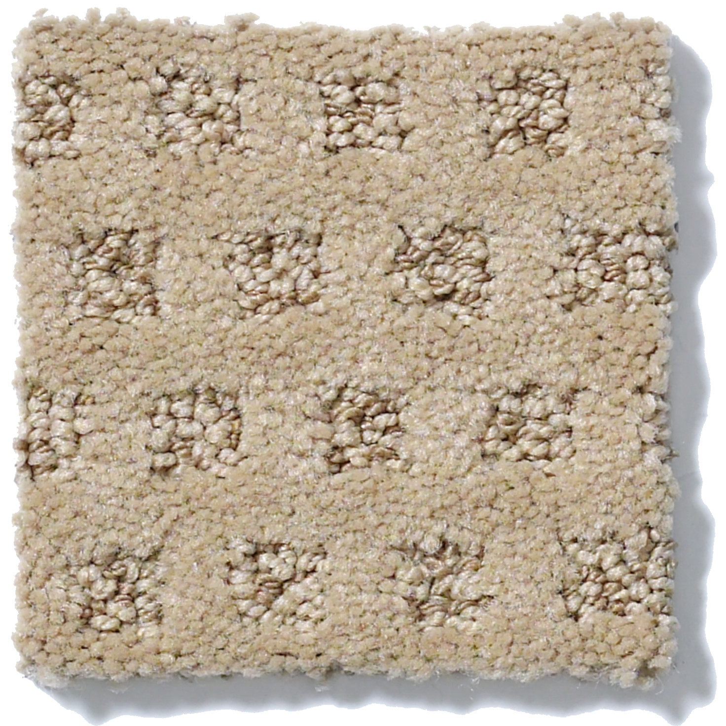 THE ARTS LLAMA SWATCH