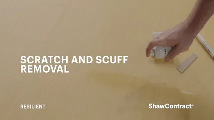Effective scratch and scuff removal for resilient surfaces Scratch and scuff removal on resilient flooring