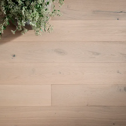 Terms and Conditions Terms and Conditions