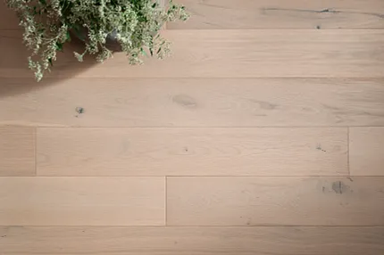 Light Oak Hardwood Flooring with Natural Grain and Knots Light oak hardwood flooring with natural grain and knots, featuring a potted plant on the surface