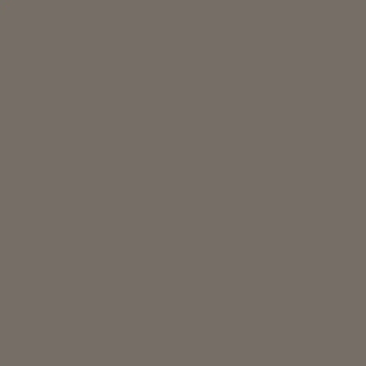 True Taupe 00162