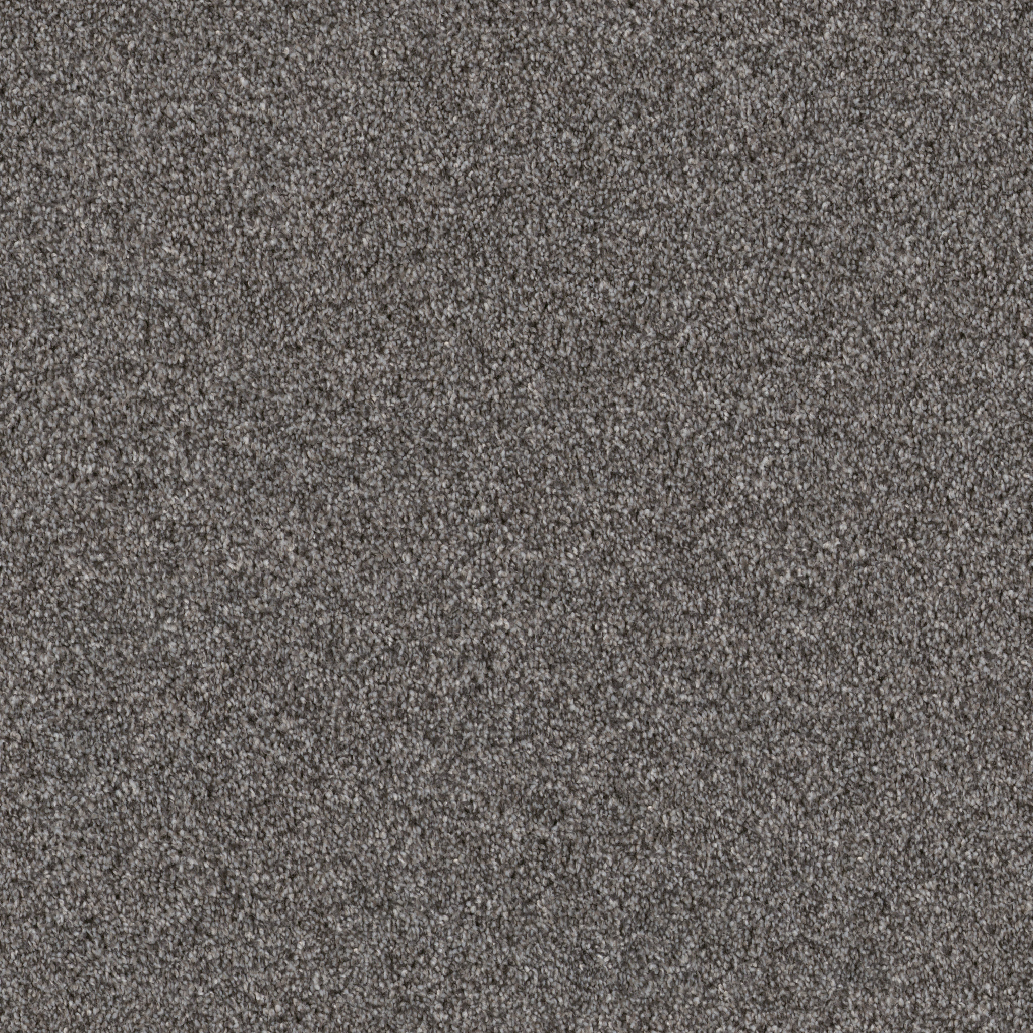 INFLUENCER SENTIMENTAL MAIN