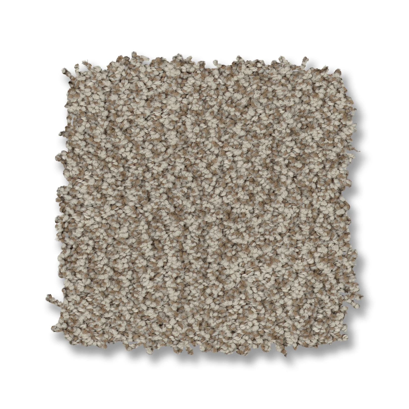 OBSCURA FILMGRAIN SWATCH