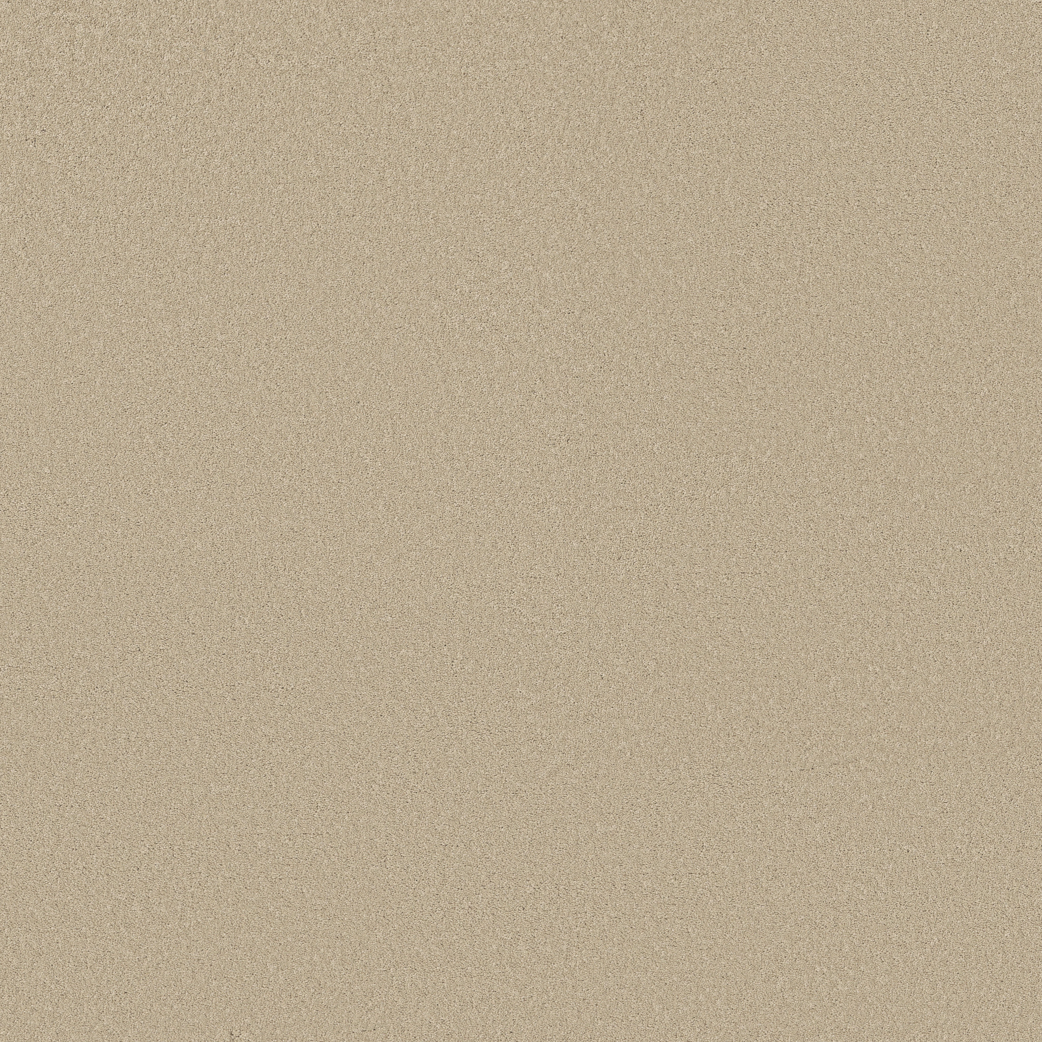 SMOOTH TONE SUMMERTIME MAIN