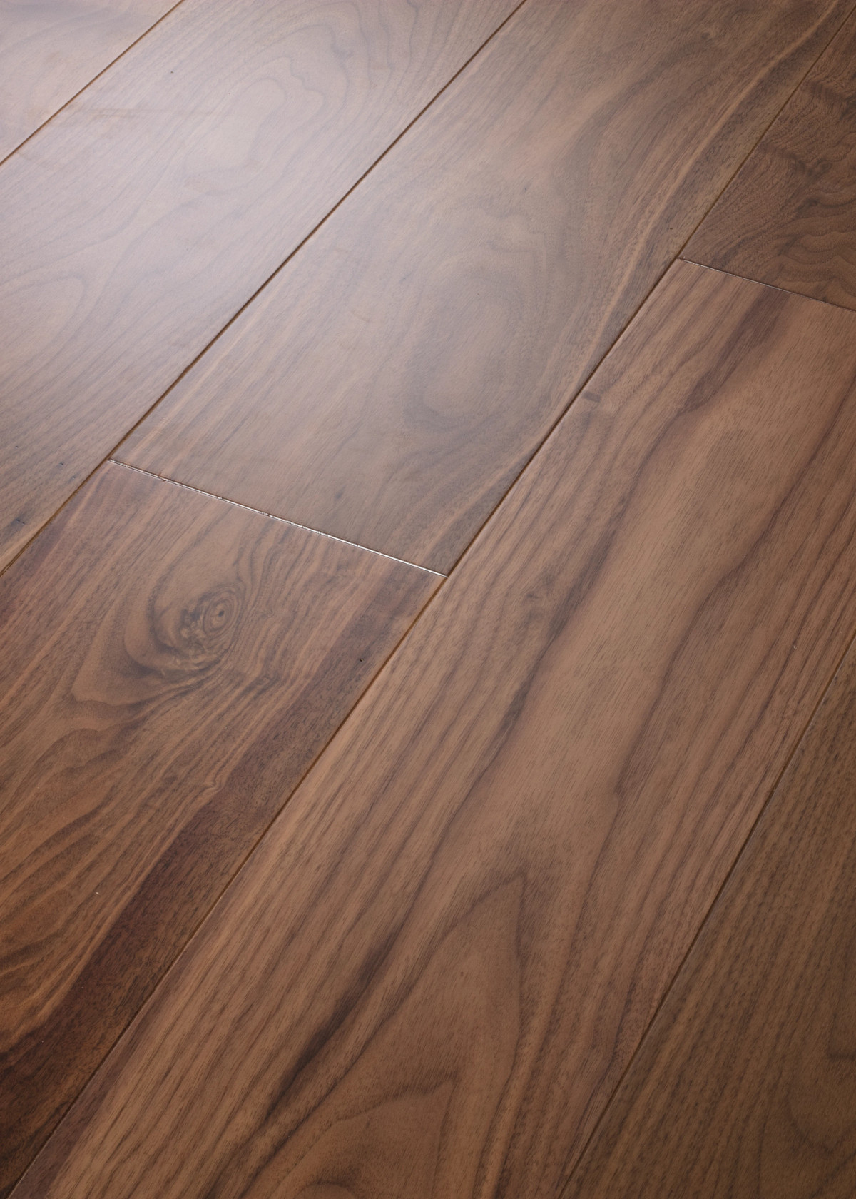 Revival Walnut