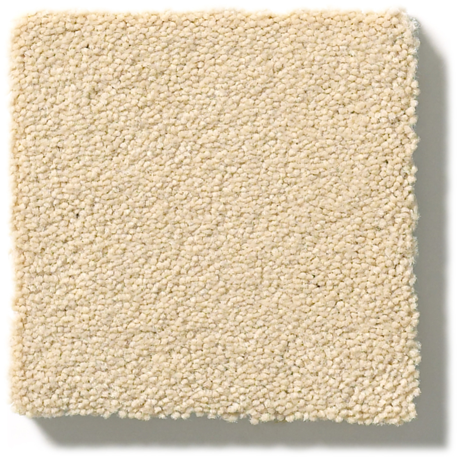 PERFECT CHOICE GOLDEN SWATCH