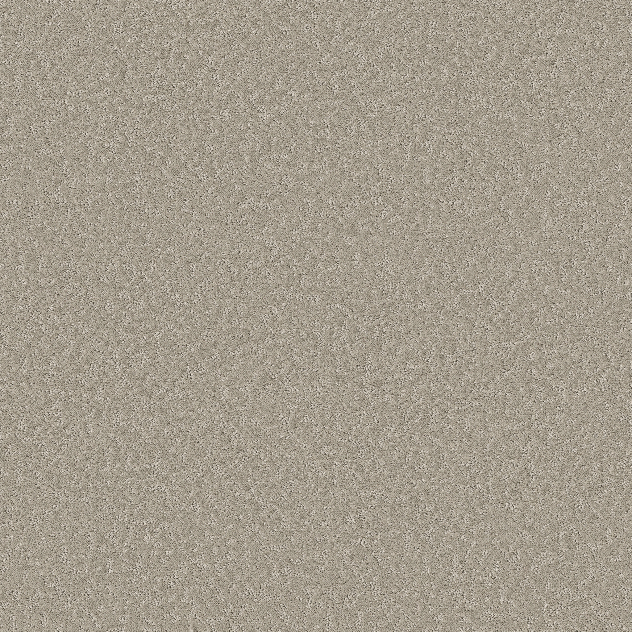 CLEVER CHOICE SANDSTONE MAIN