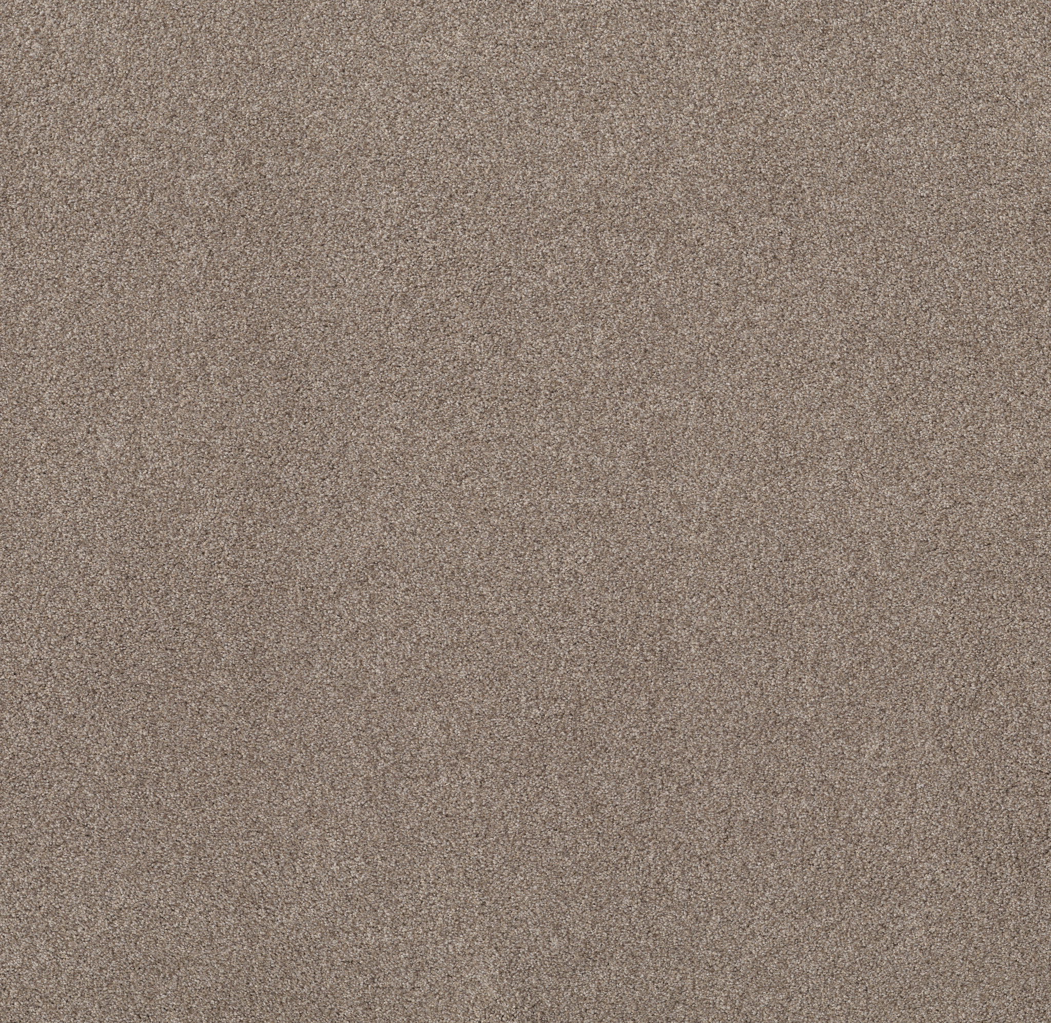 Live on Comfort CARRIAGE HOUSE MAIN