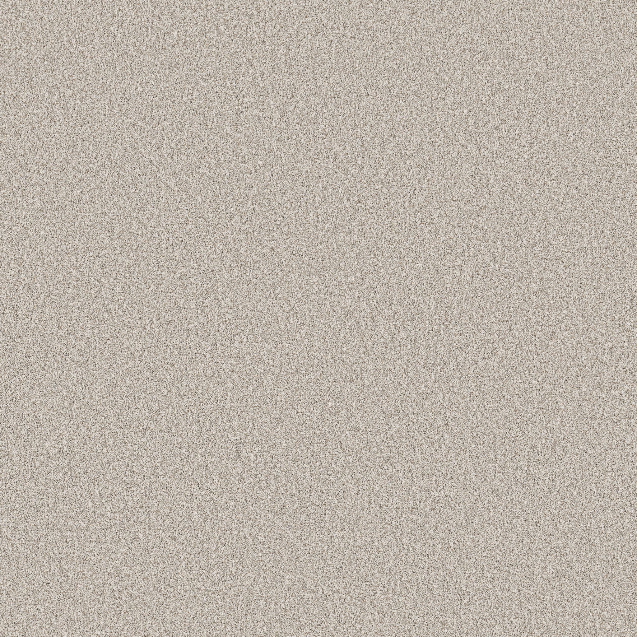 TIMELESS TONE MINIMALIST MAIN