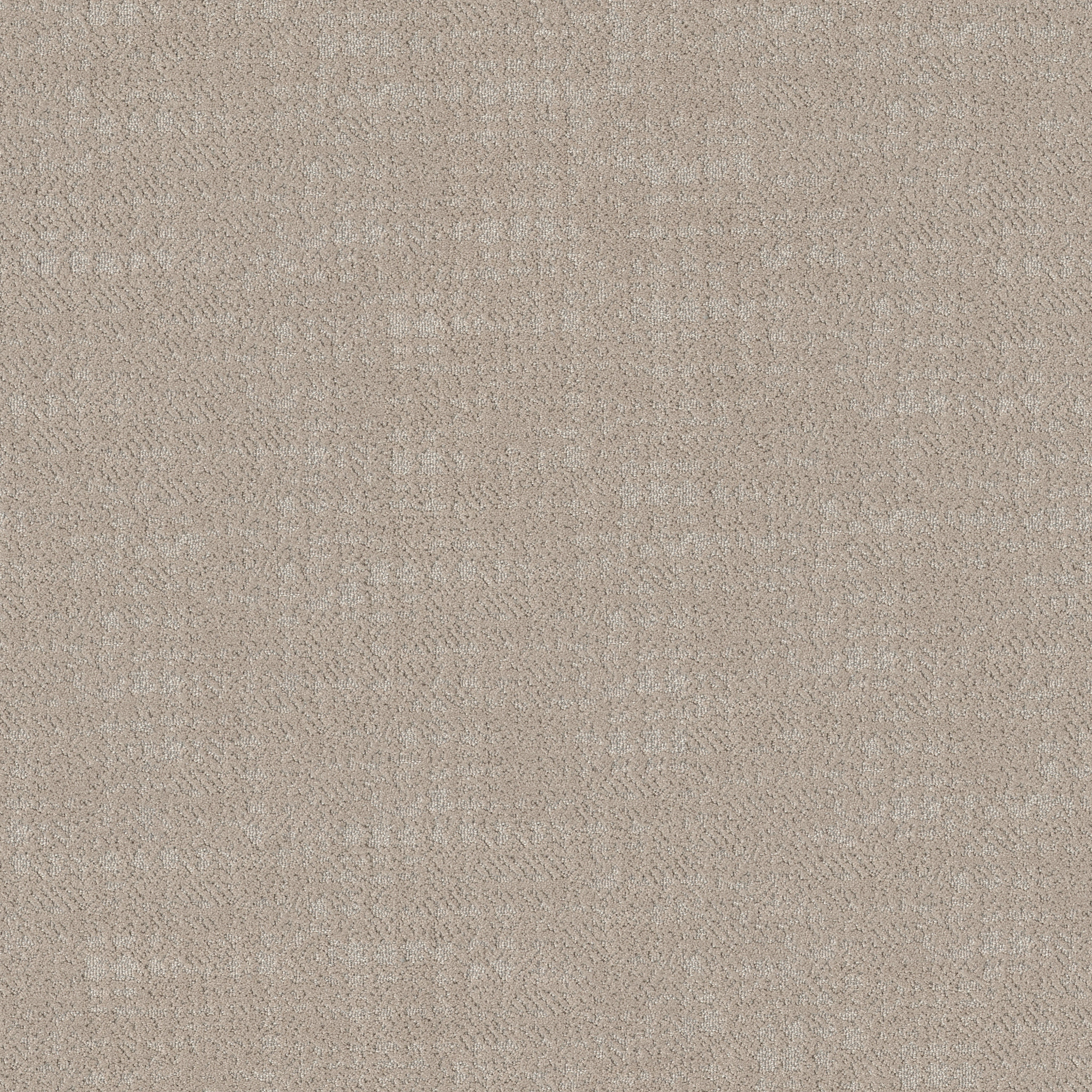 TAILORED CRAFT ABALONE MAIN