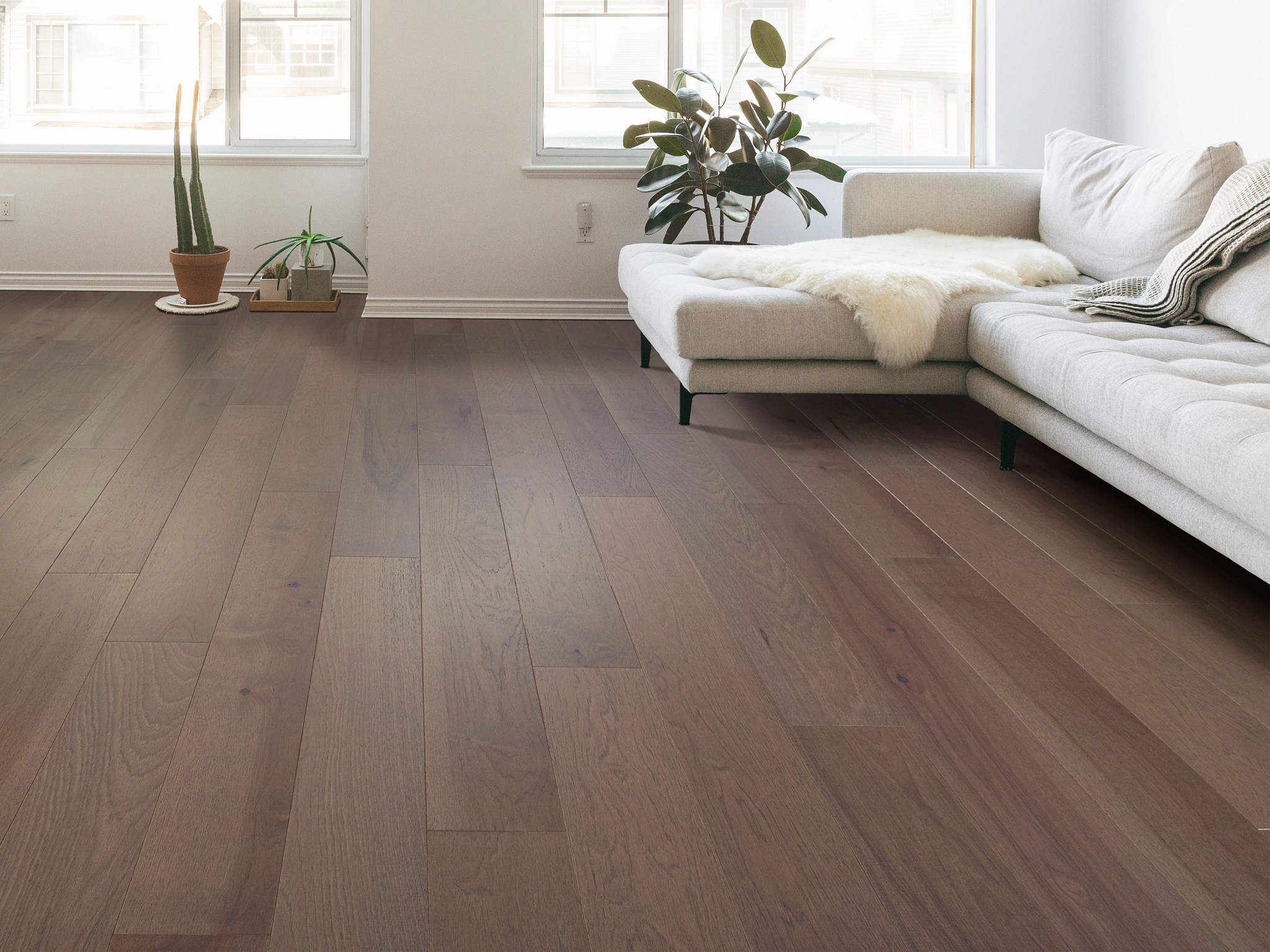 EXPLORATION HICKORY COMPASS ROOM