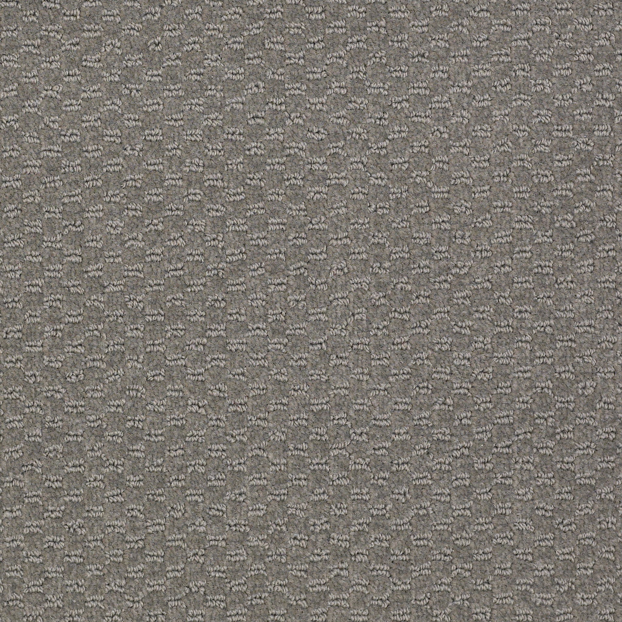 LATEST-TREND-54098-OYSTER-BAY-98502-main-image