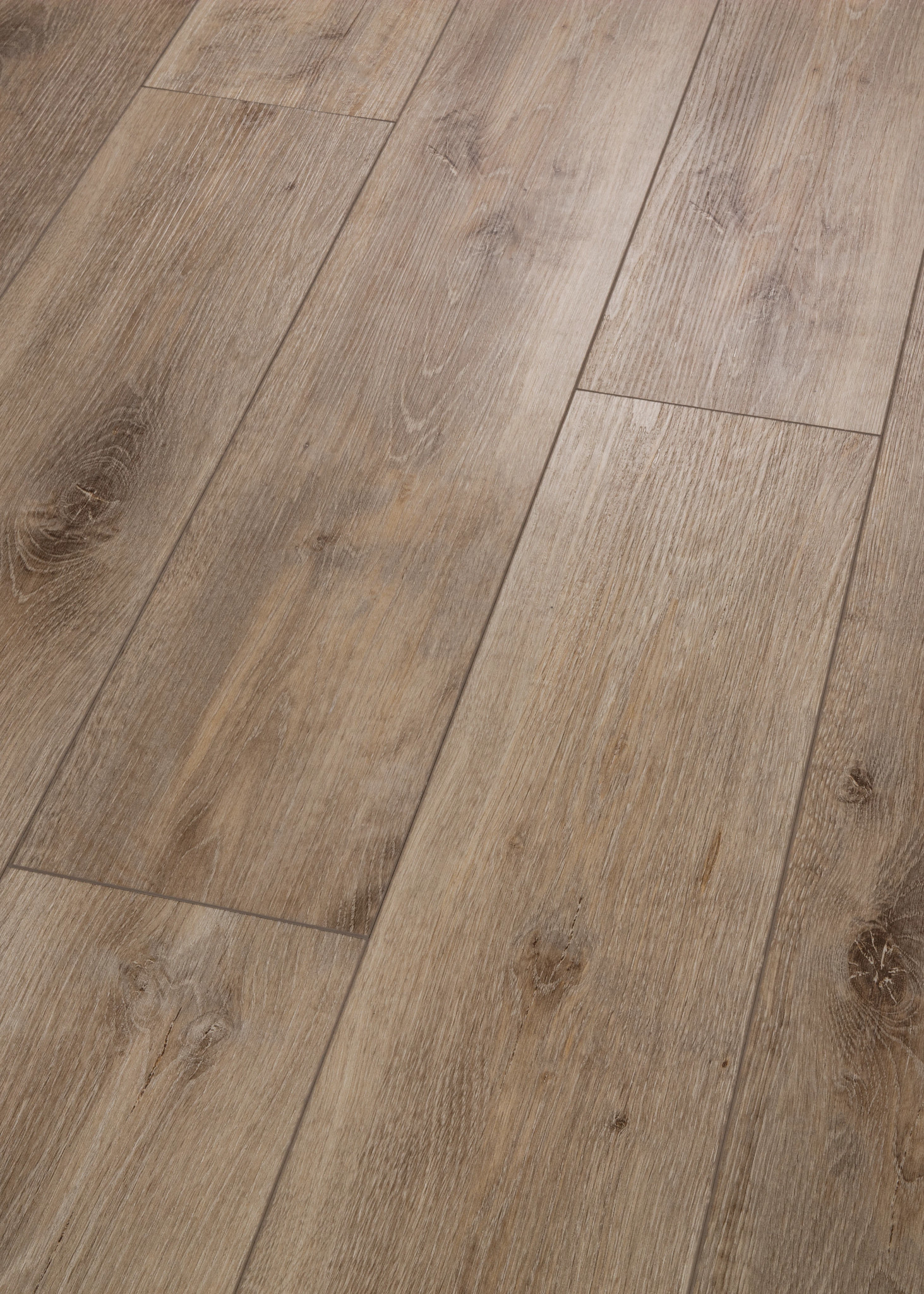 ALLEGIANCE + ACC RYMAN ANGLED