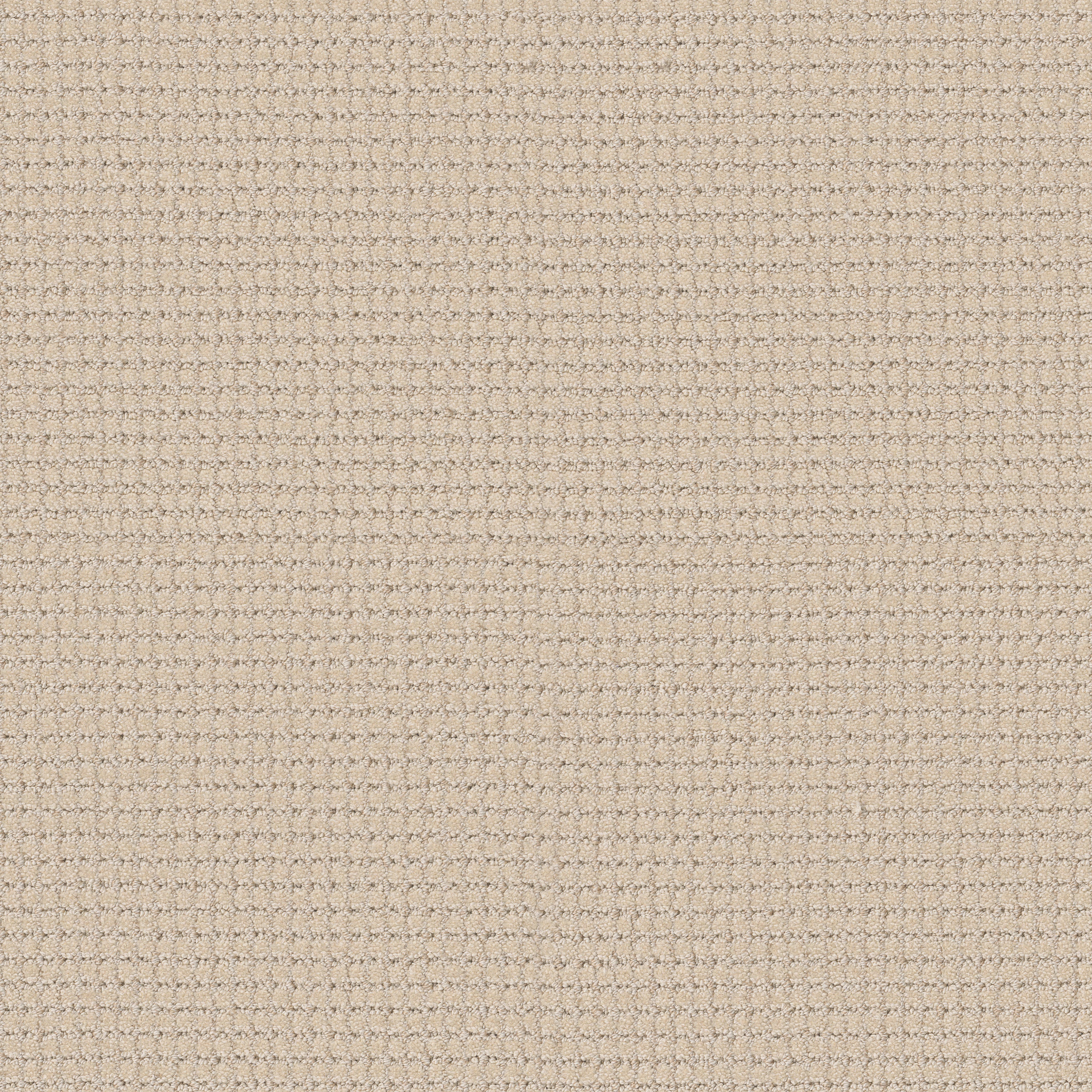 RHODE FRENCH BUFF MAIN