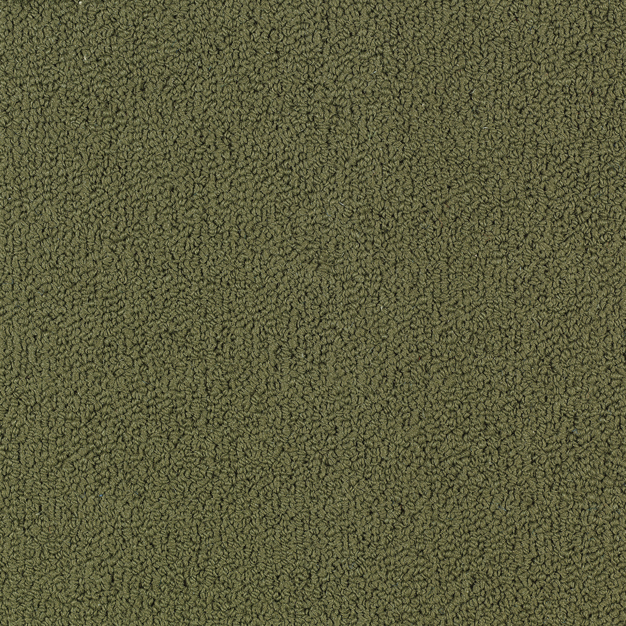 COLOR-ACCENTS-BL-54584-IVY-62335-main-image