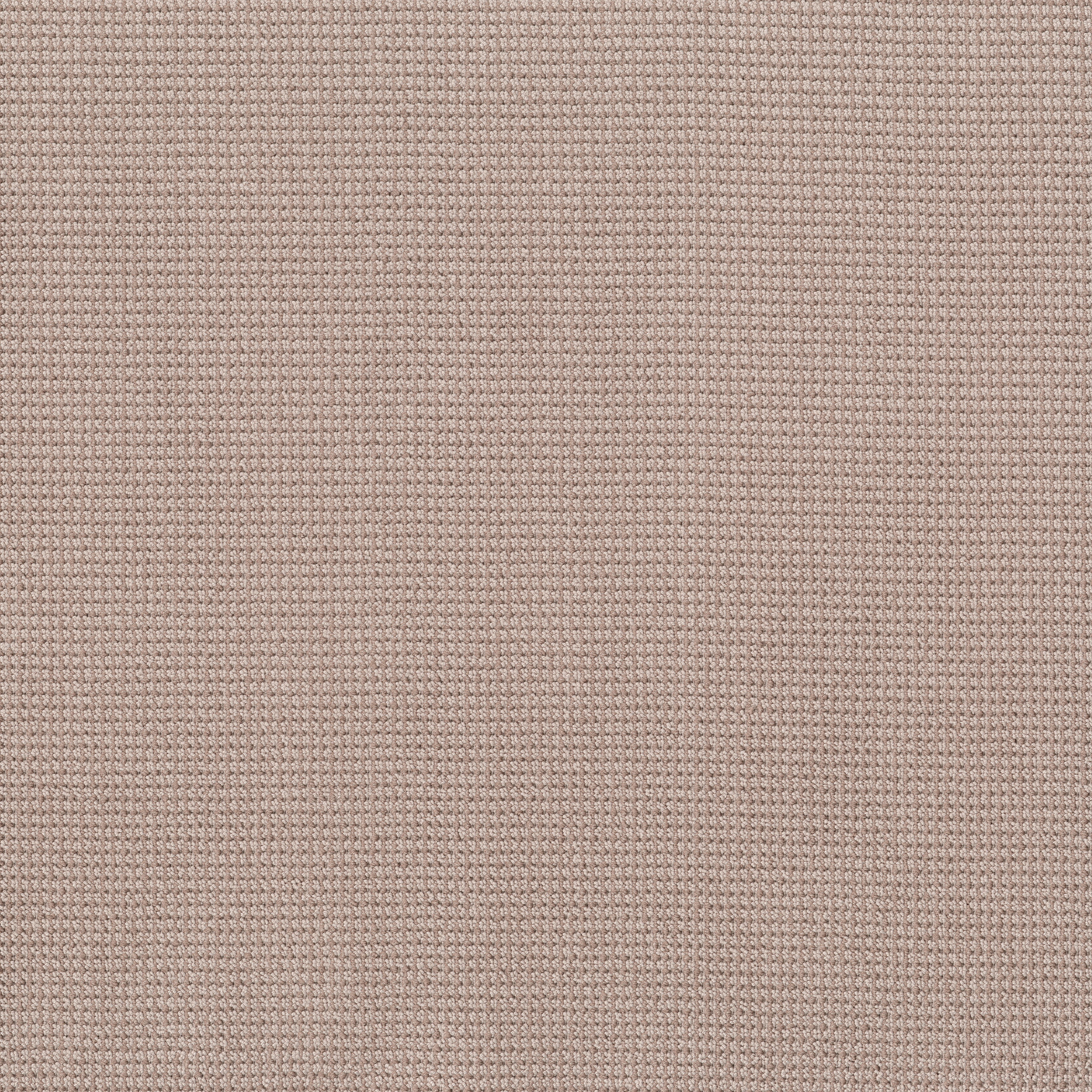 Inspired - 100% ANSO® High Performance Nylon in Blossom