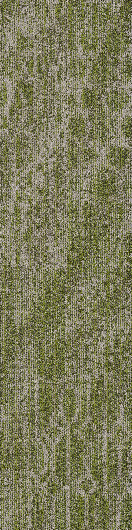 MEDLEY-54875-EMPHASIS-00300-main-image