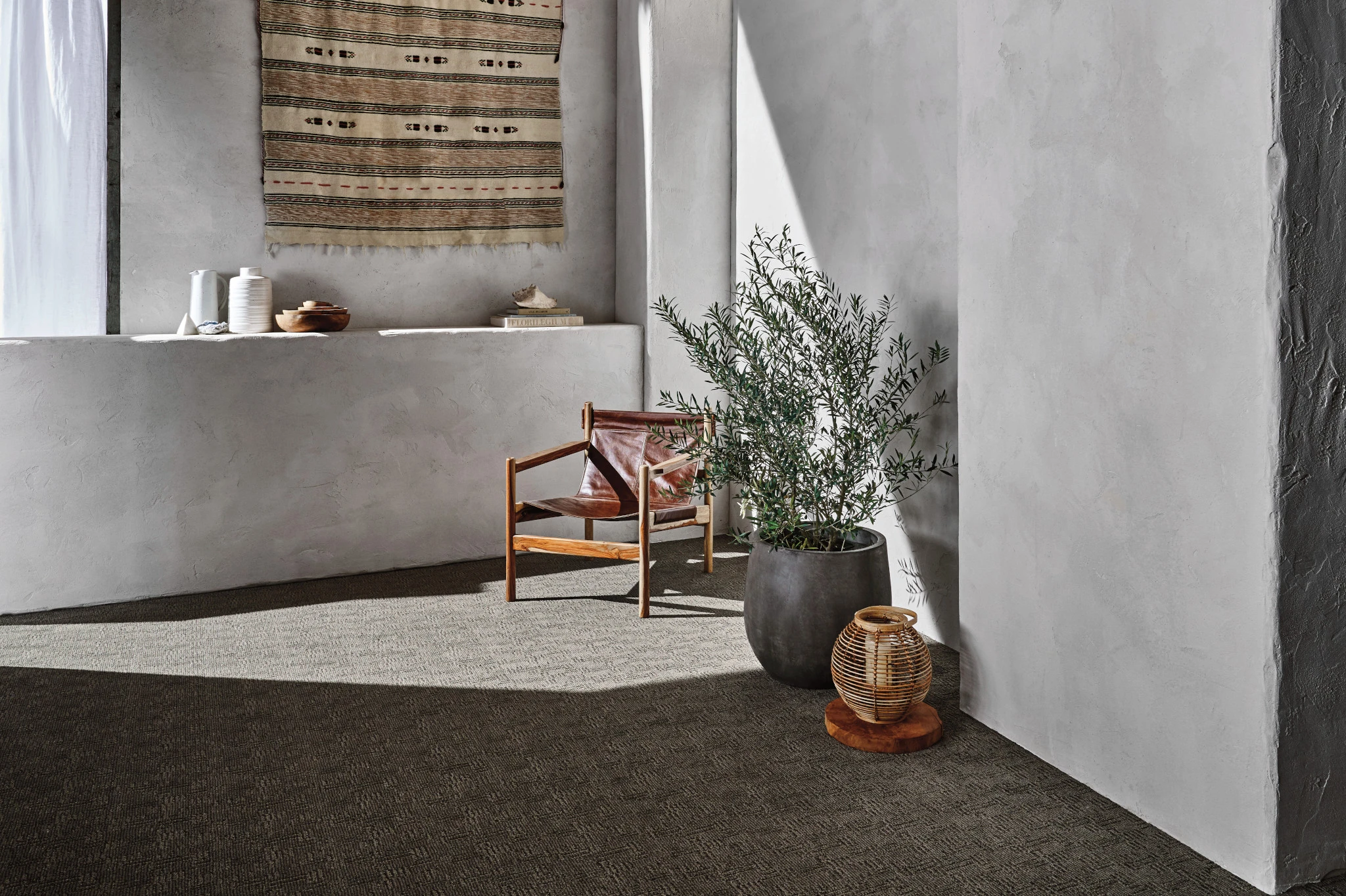 Carpet Gallery | Stylish and Sustainable Carpet