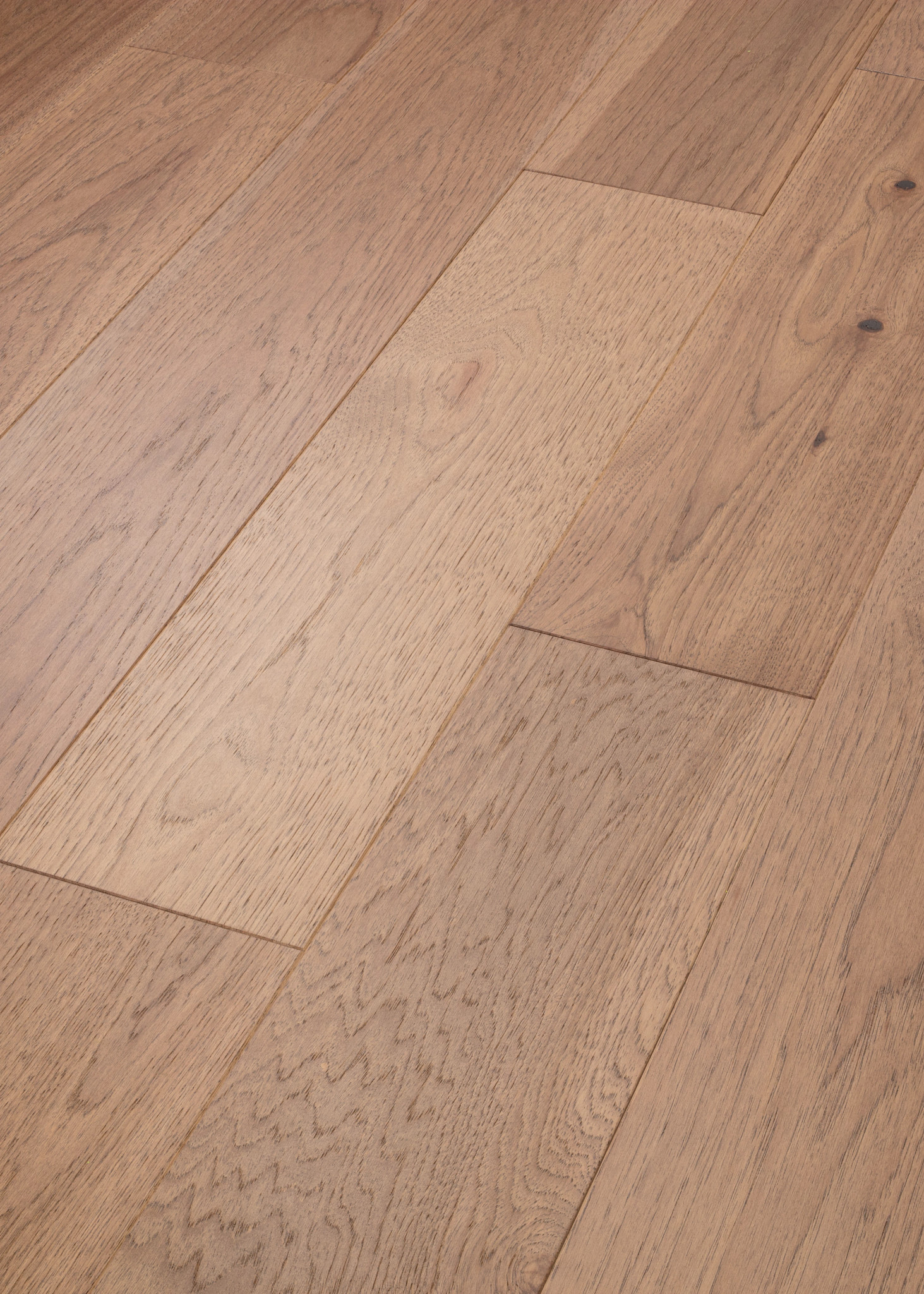 EXPLORATION HICKORY INLET ANGLED