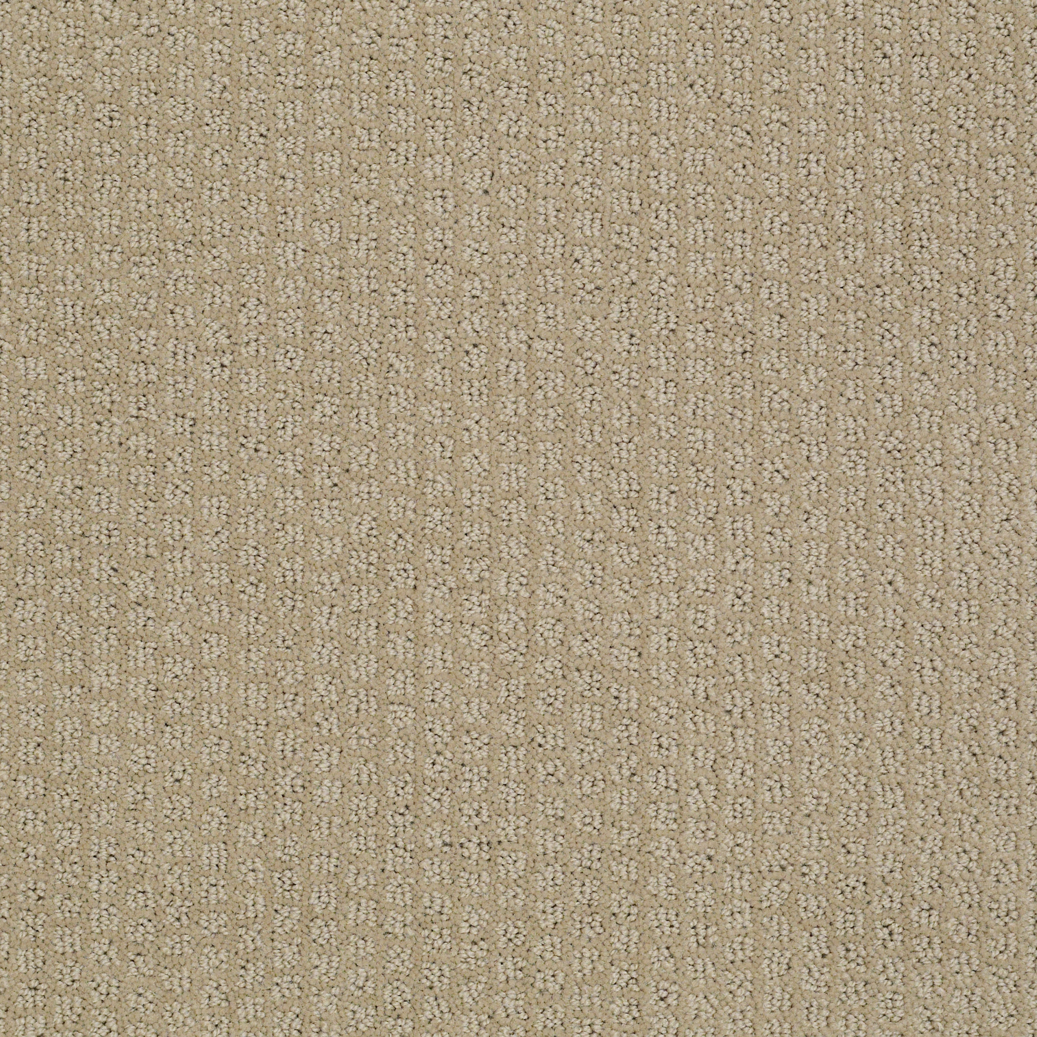 QUINTERO MUSHROOM MAIN