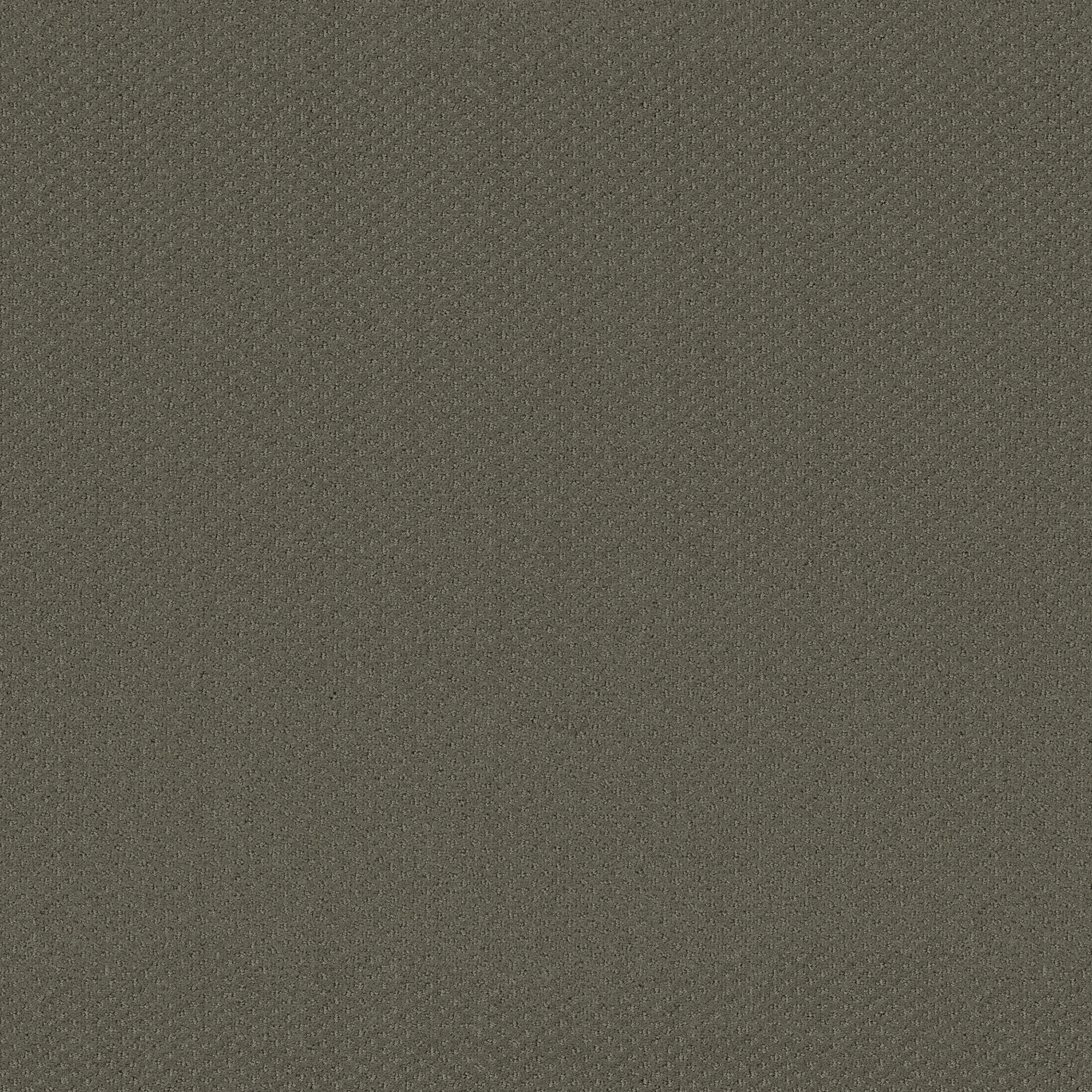 AUSTIN PARK CEDAR GLEN MAIN