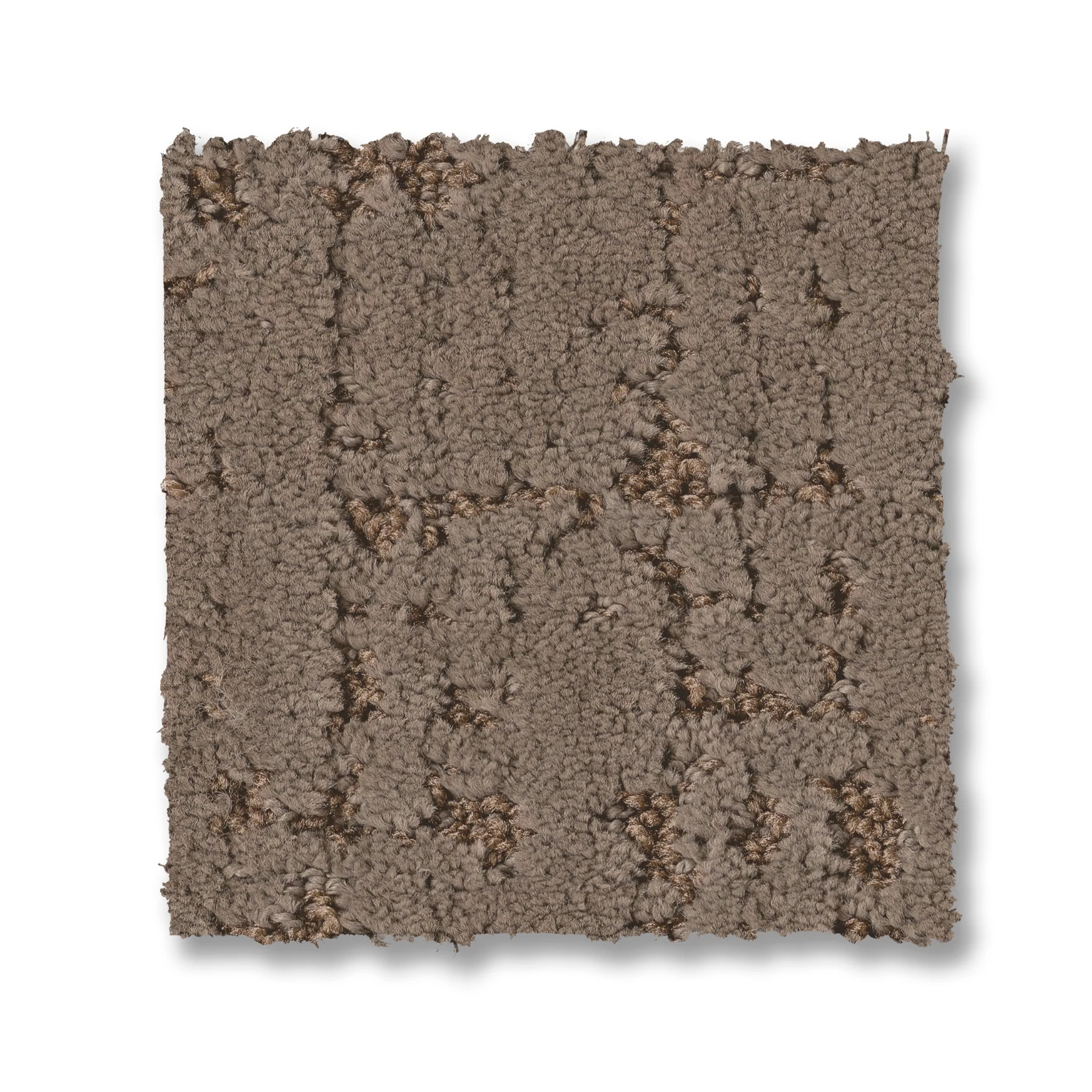 ADAIR MEET AND GREET SWATCH