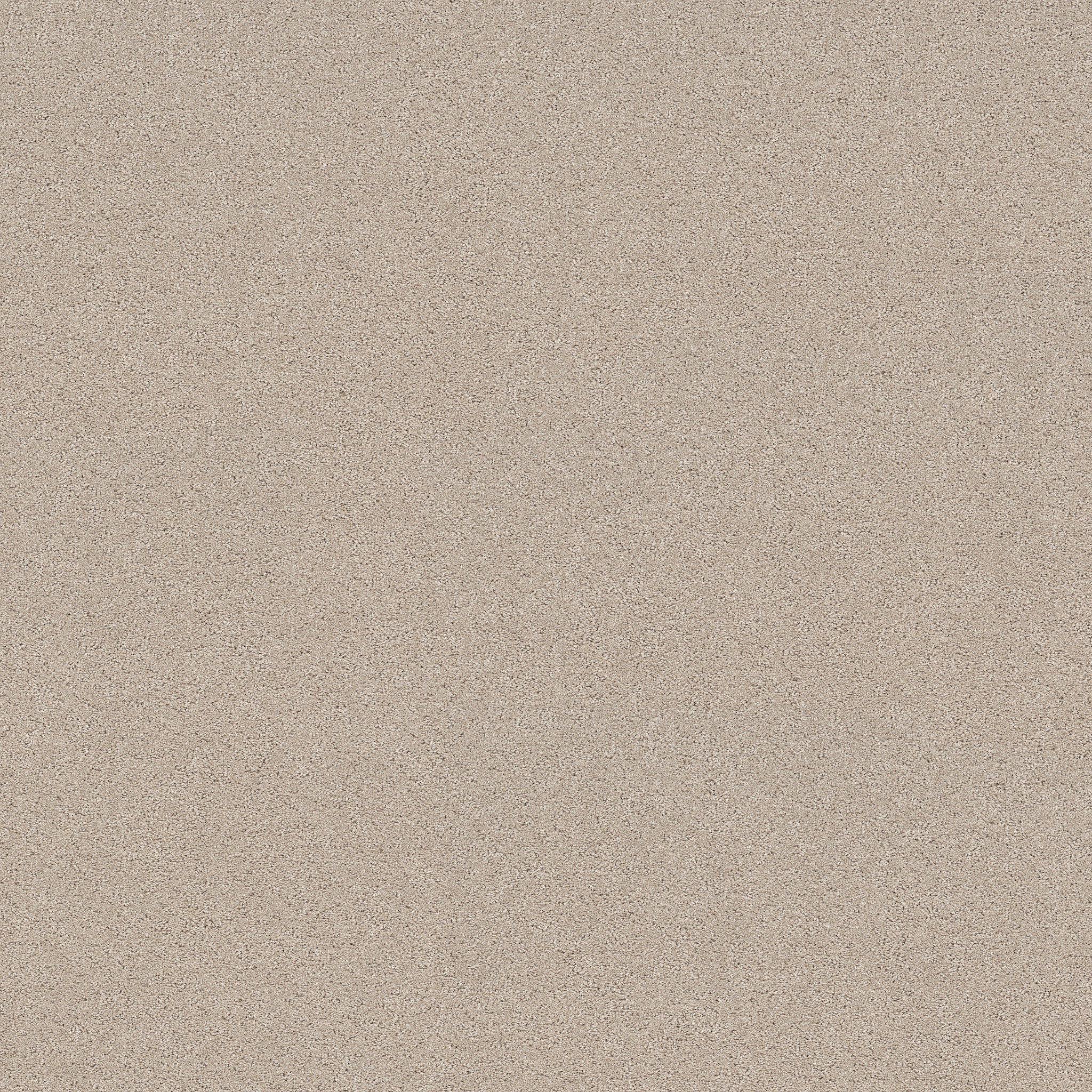 SECRET ADVENTURE CAFE LATTE MAIN