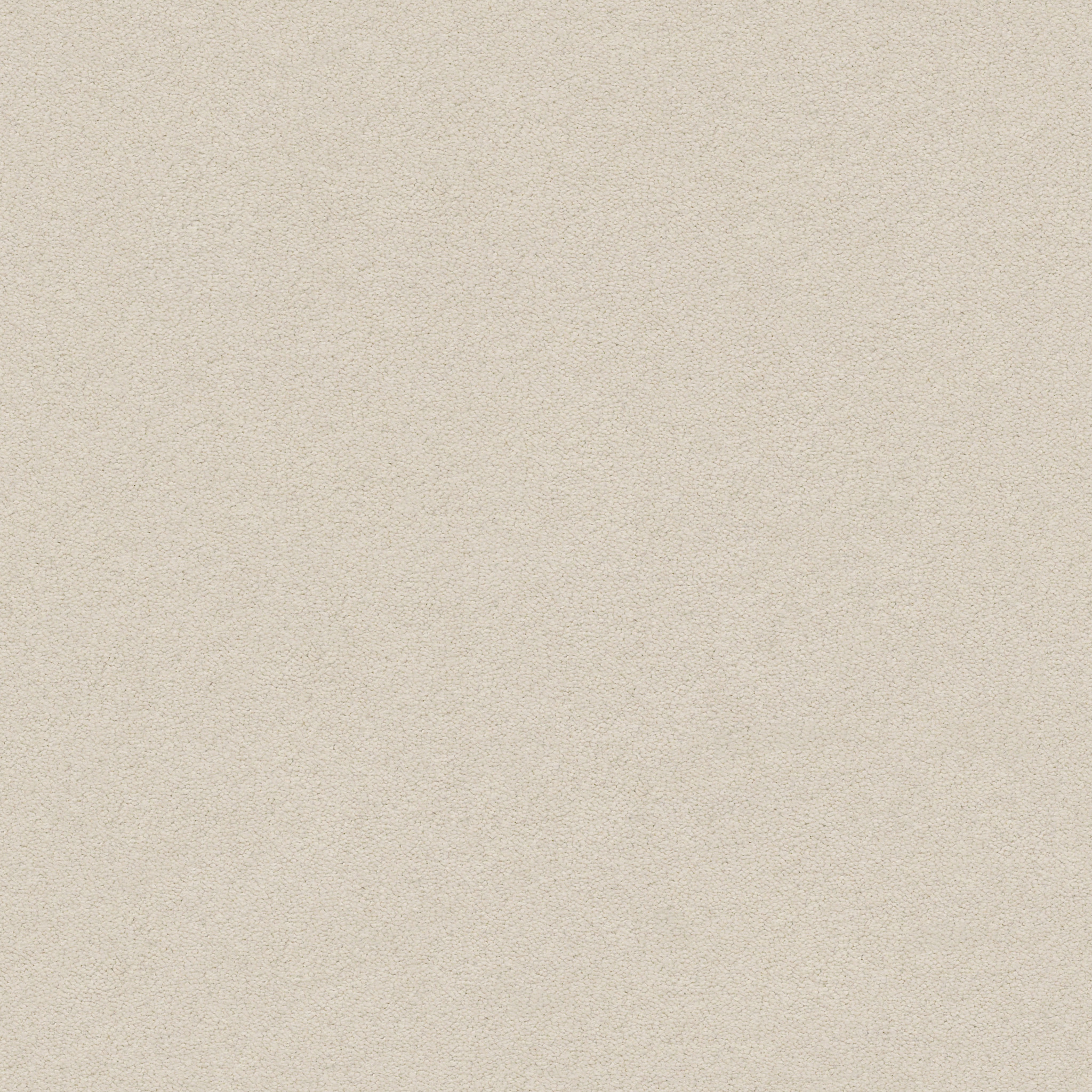 PERFECT CHOICE MISTY DAWN MAIN