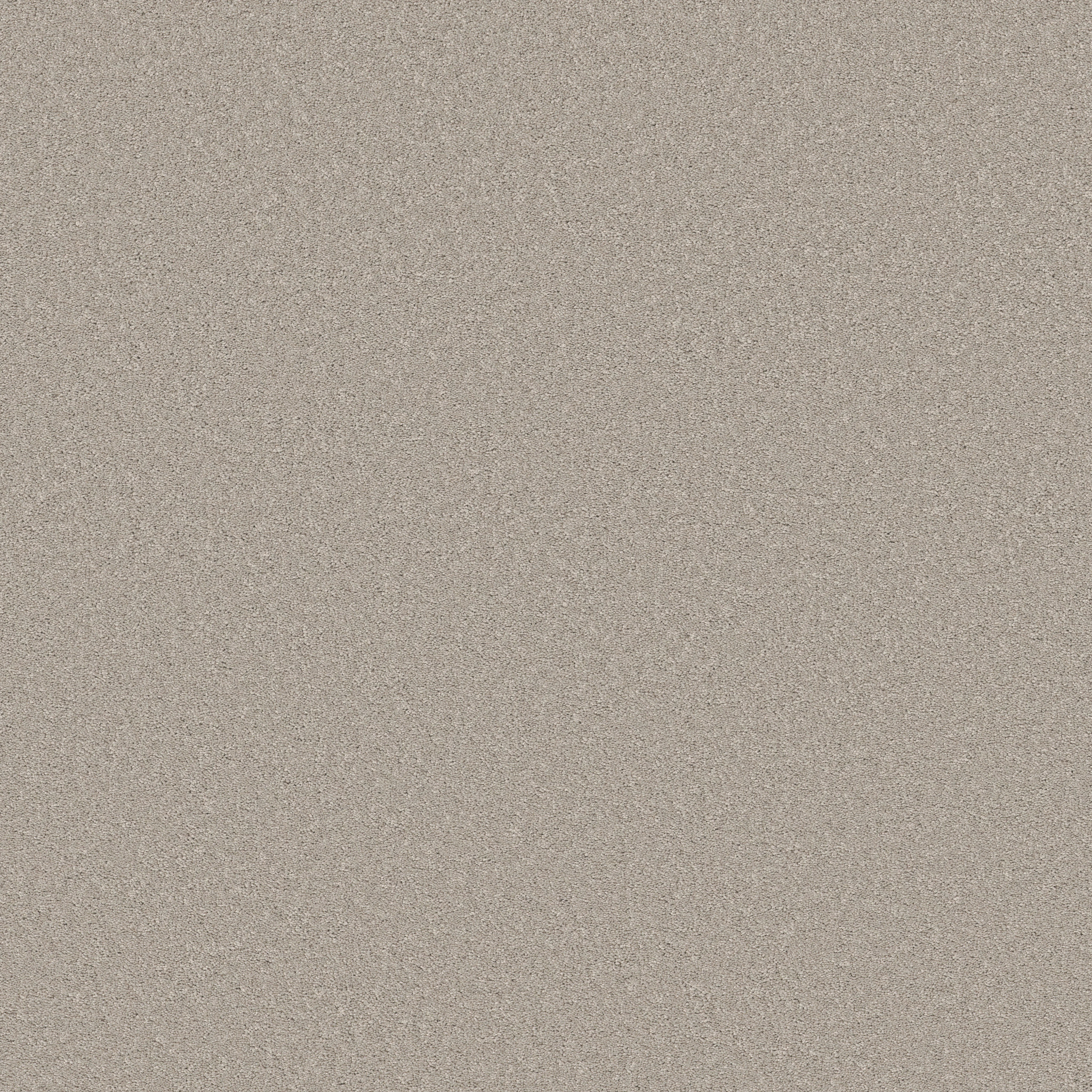 VELVET TOUCH I ROCK CRYSTAL MAIN