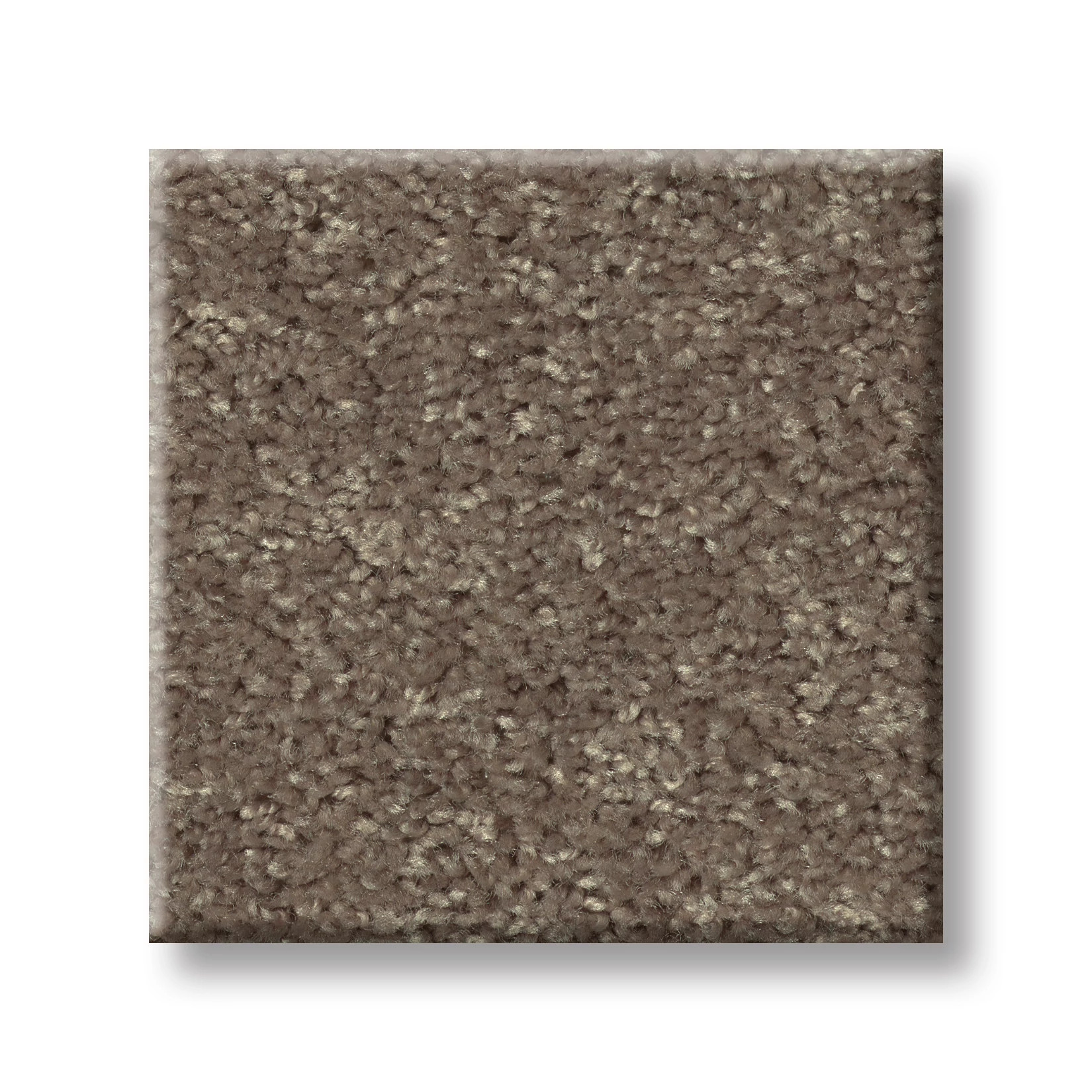 ALL STAR WEEKEND III 15' DRIFTWOOD SWATCH