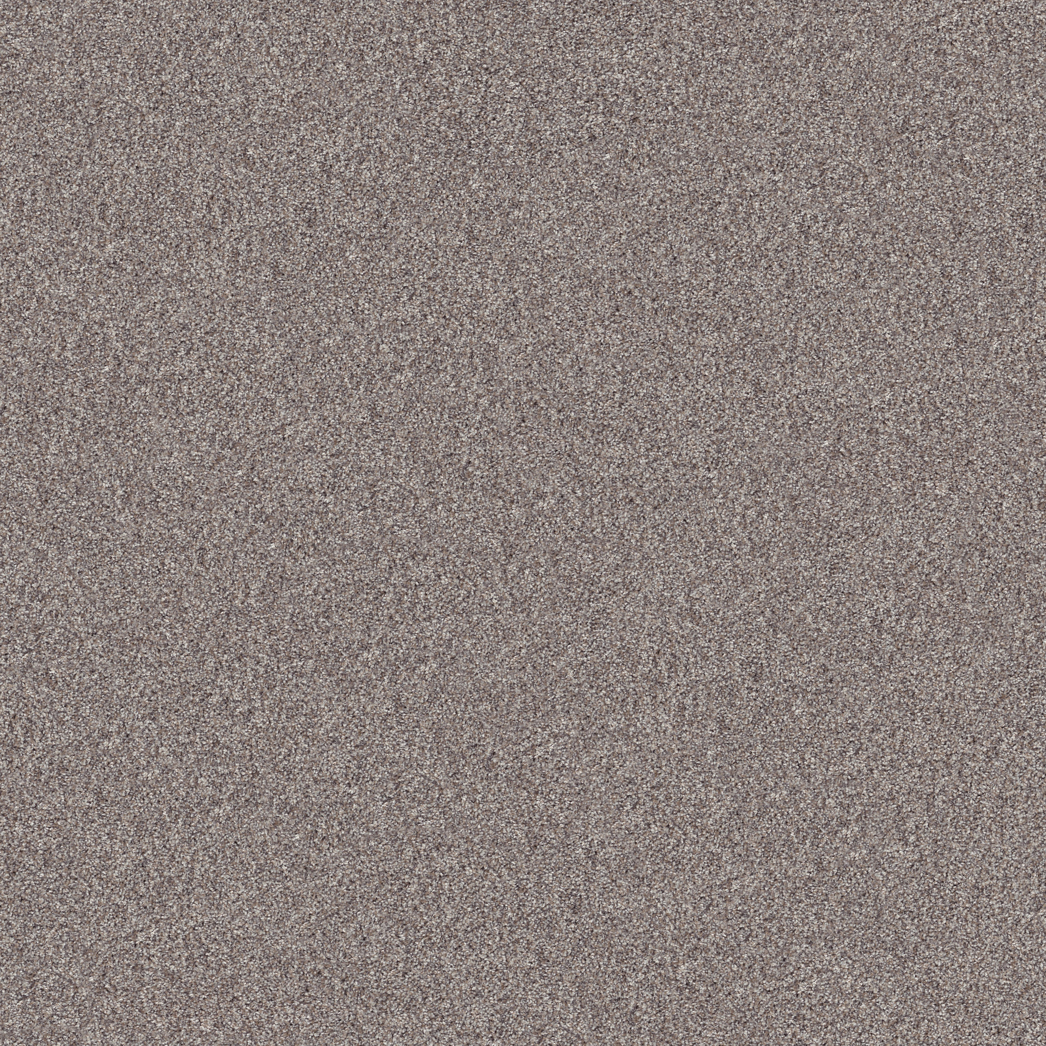 INLET SHORE I 12' FRENCH BUFF MAIN