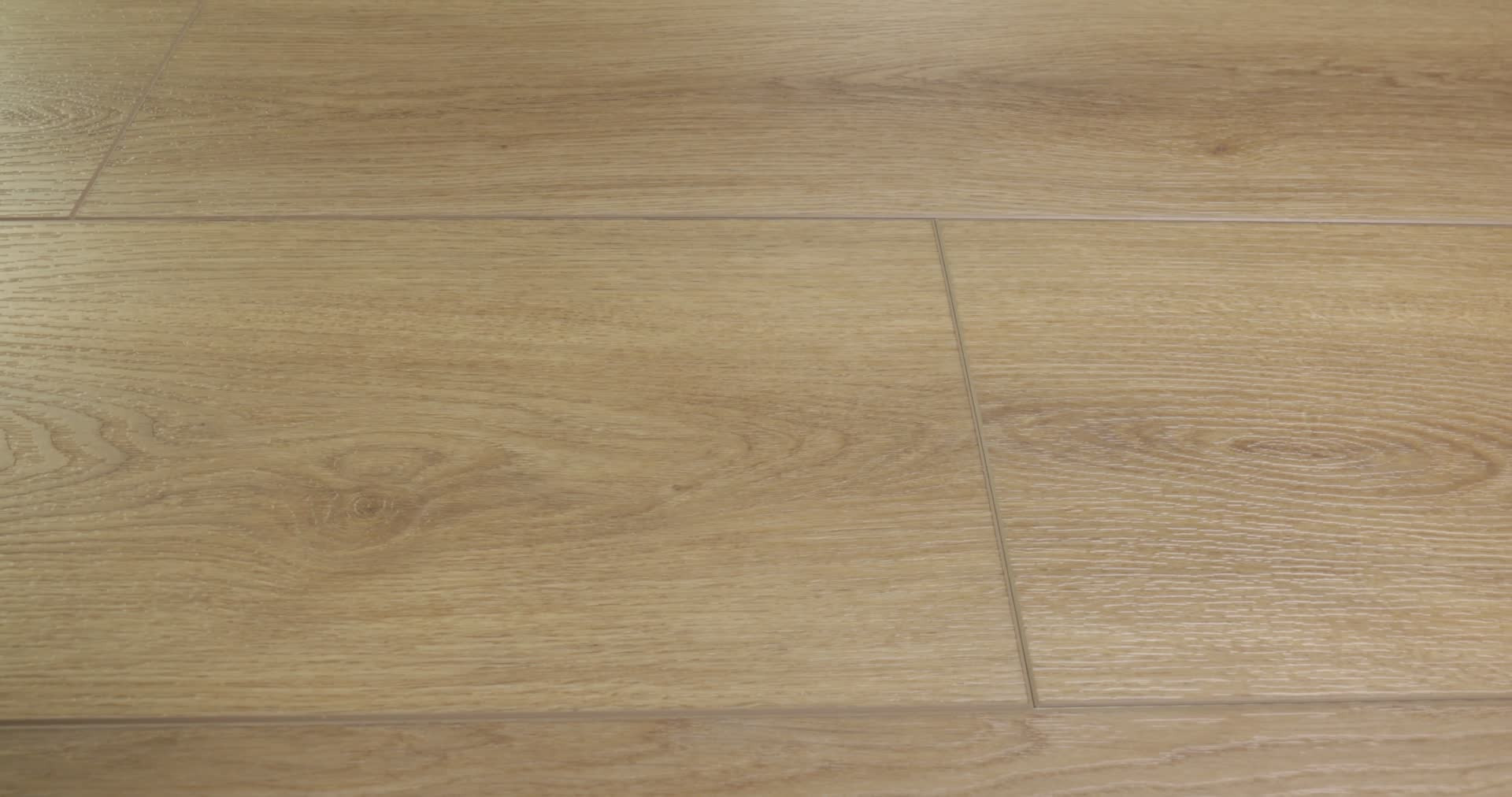 Dwell NUTMEG 360PROD