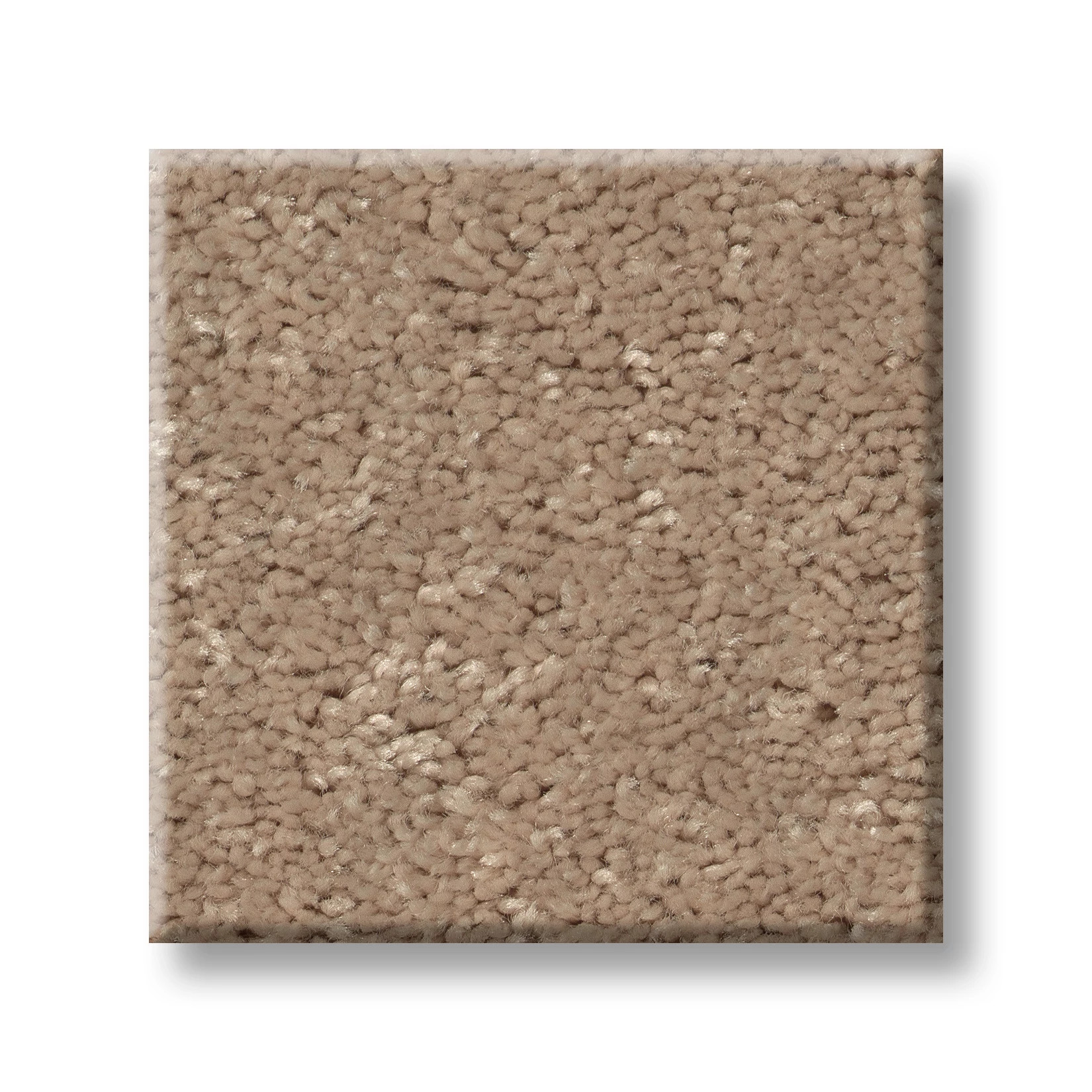 TURN THE PAGE I 12' NATURAL BEIGE SWATCH