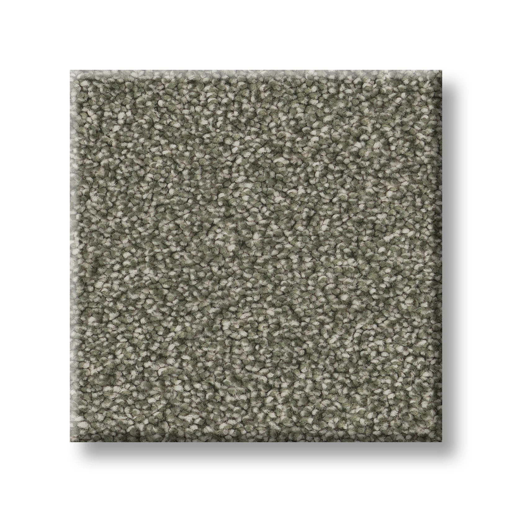 CLASSIC TONE OLIVE TREE SWATCH
