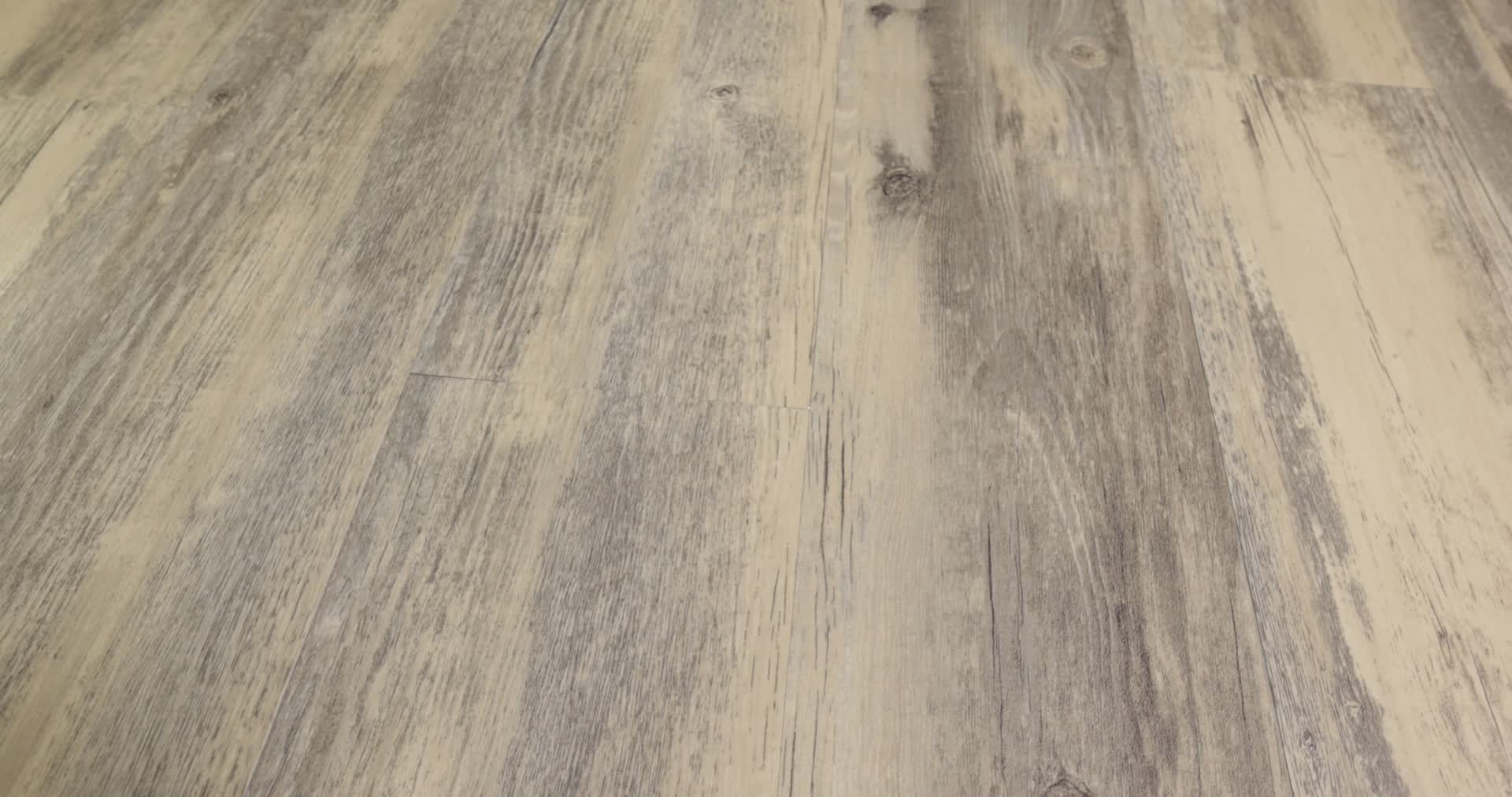 WORLD'S FAIR 6 II BRISBANE 360PROD